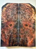 Yellow Cedar Burl | #0468