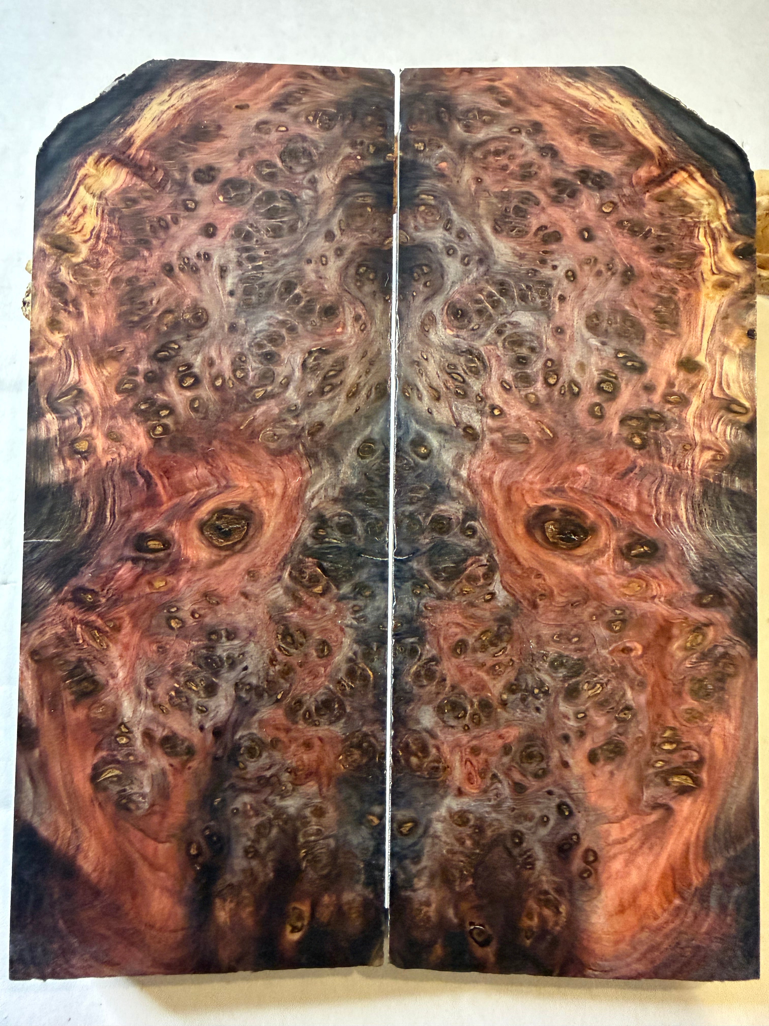 Yellow Cedar Burl | #0468