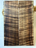 Tasmanian Blackwood | #0481