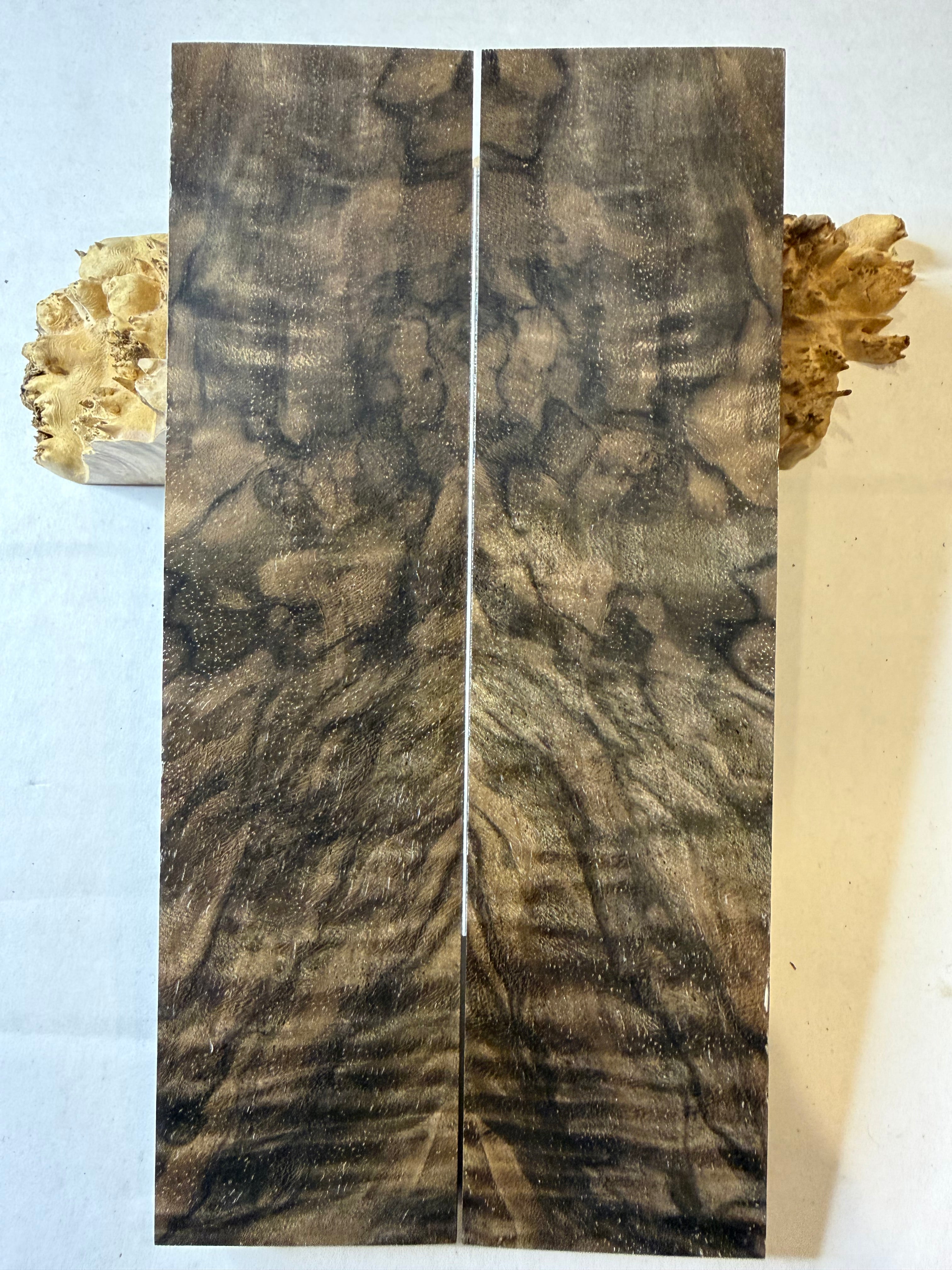 Turkish Walnut | #0482