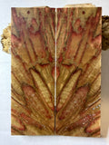 (Discounted) Boxelder | #0483
