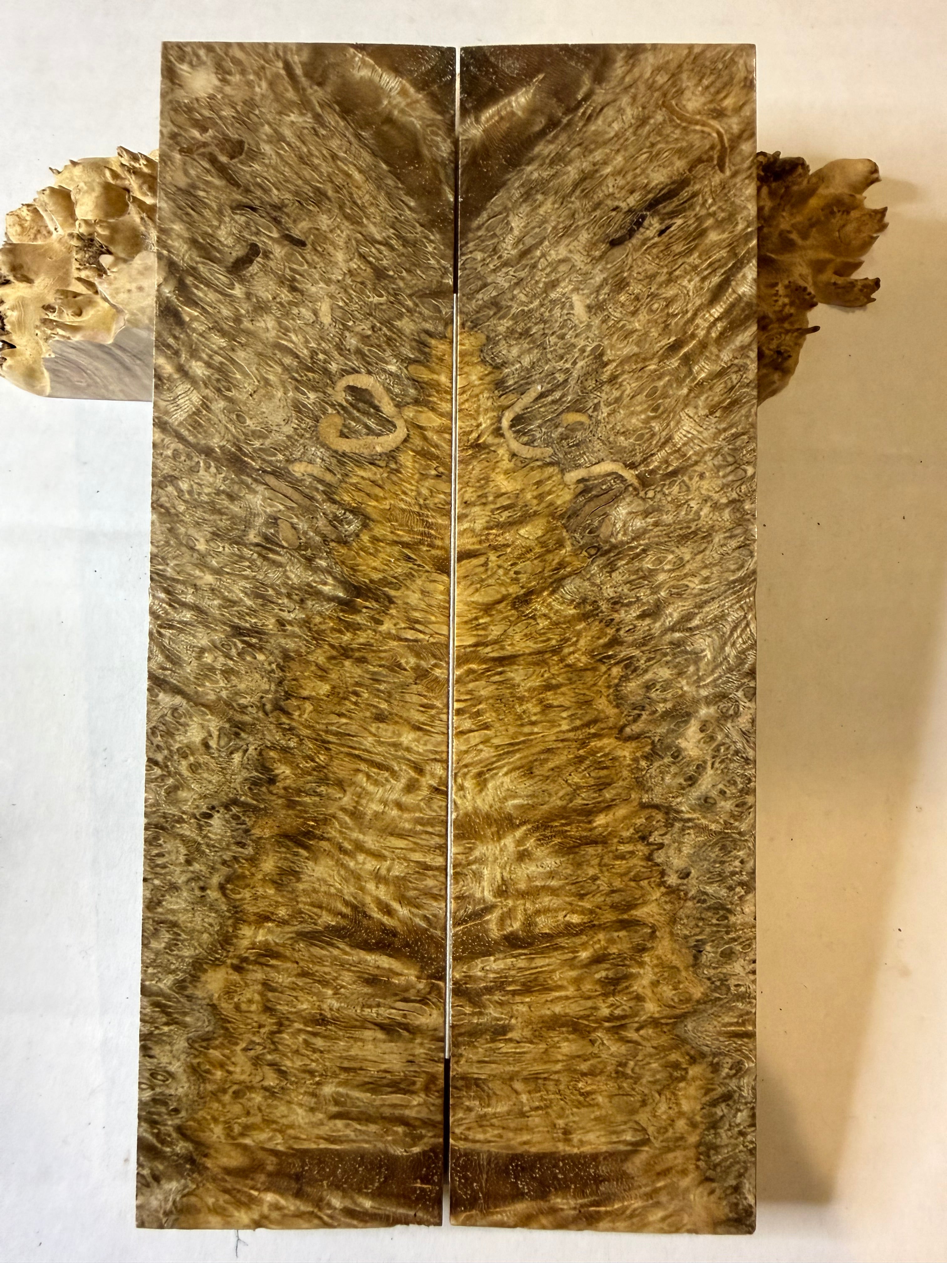 Ambonya Burl | #0487
