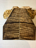 Tasmanian Blackwood | #0494