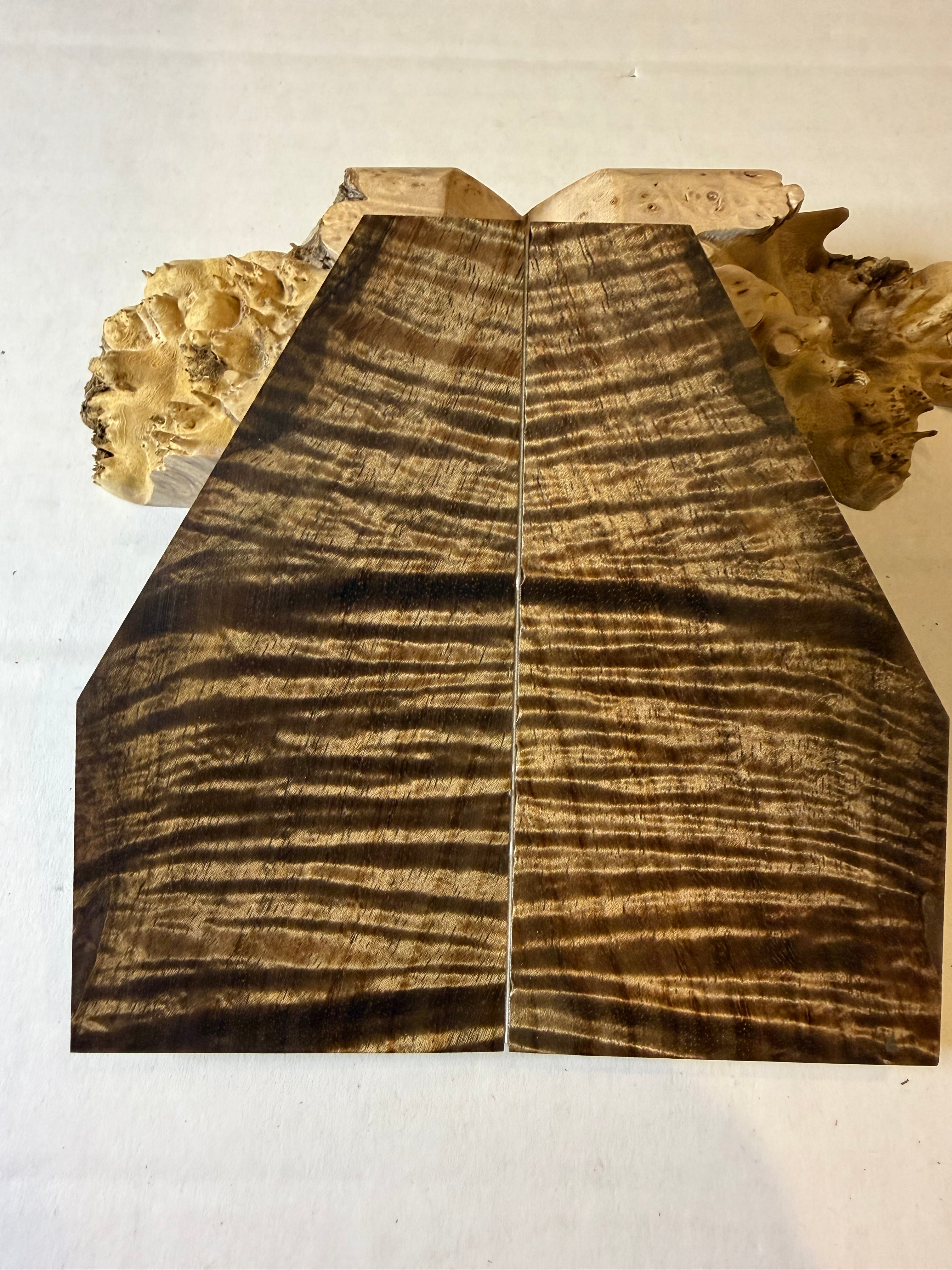 Tasmanian Blackwood | #0494