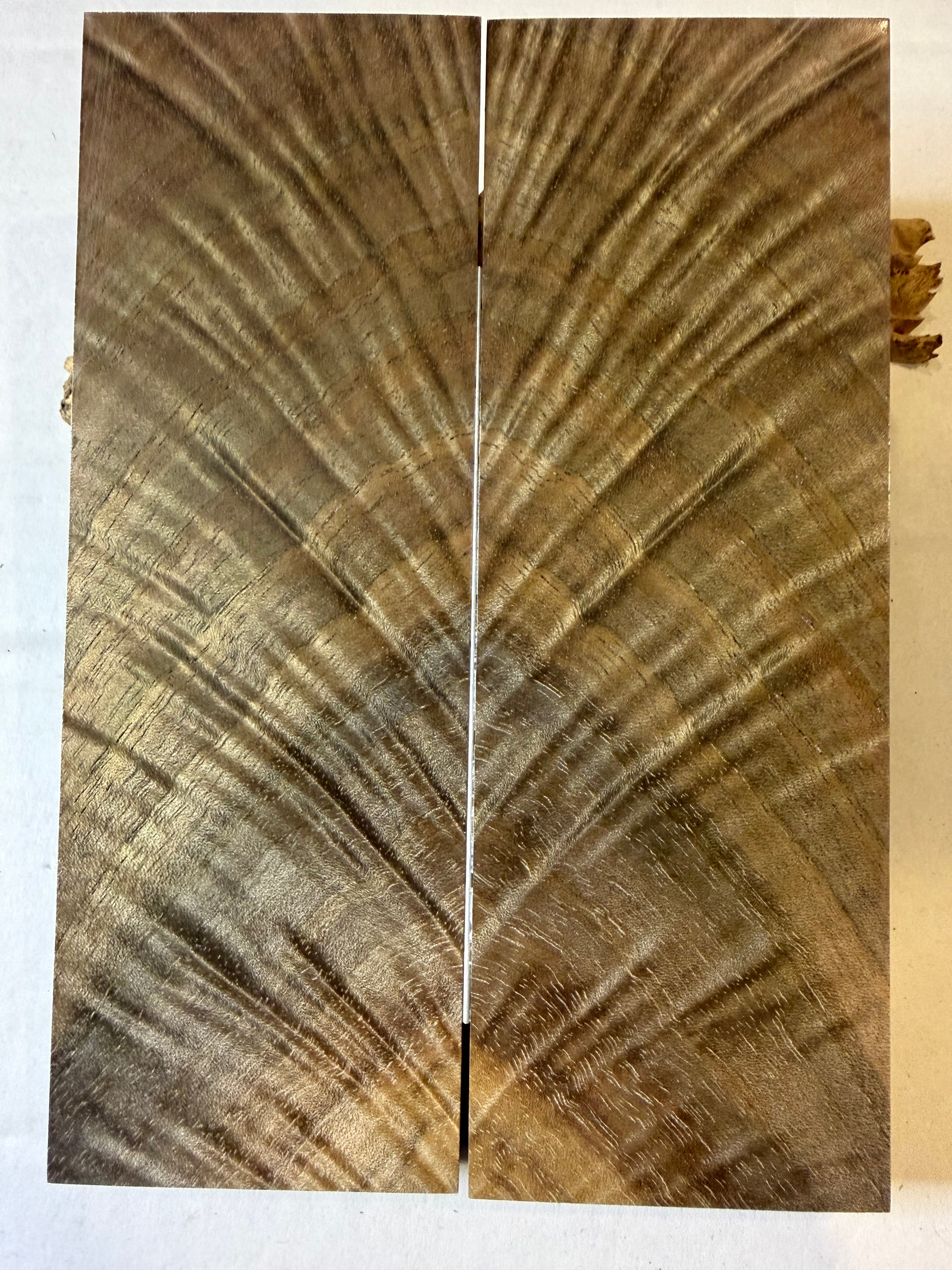 Walnut | #0493