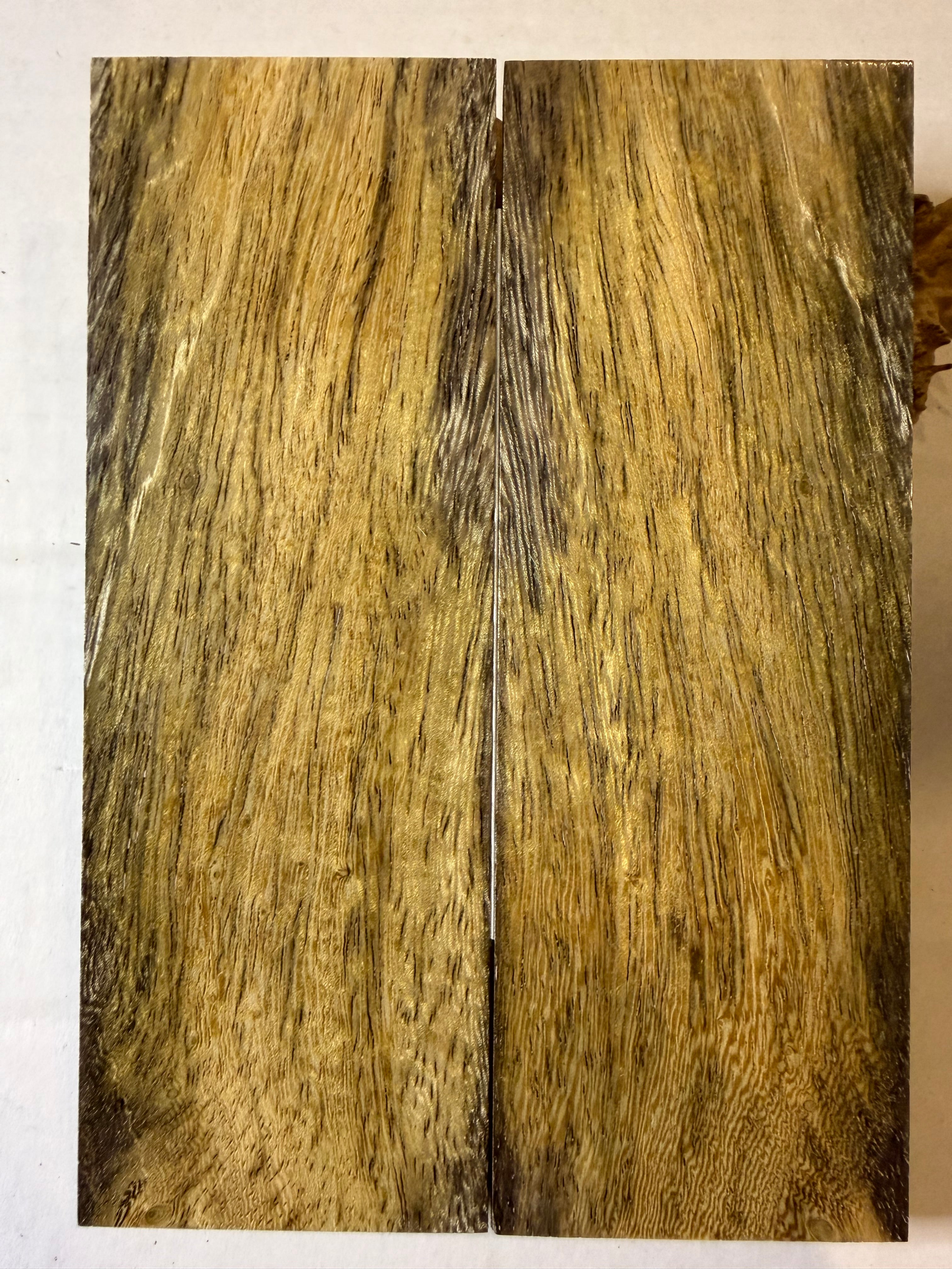 Pheasant Wood | #0495