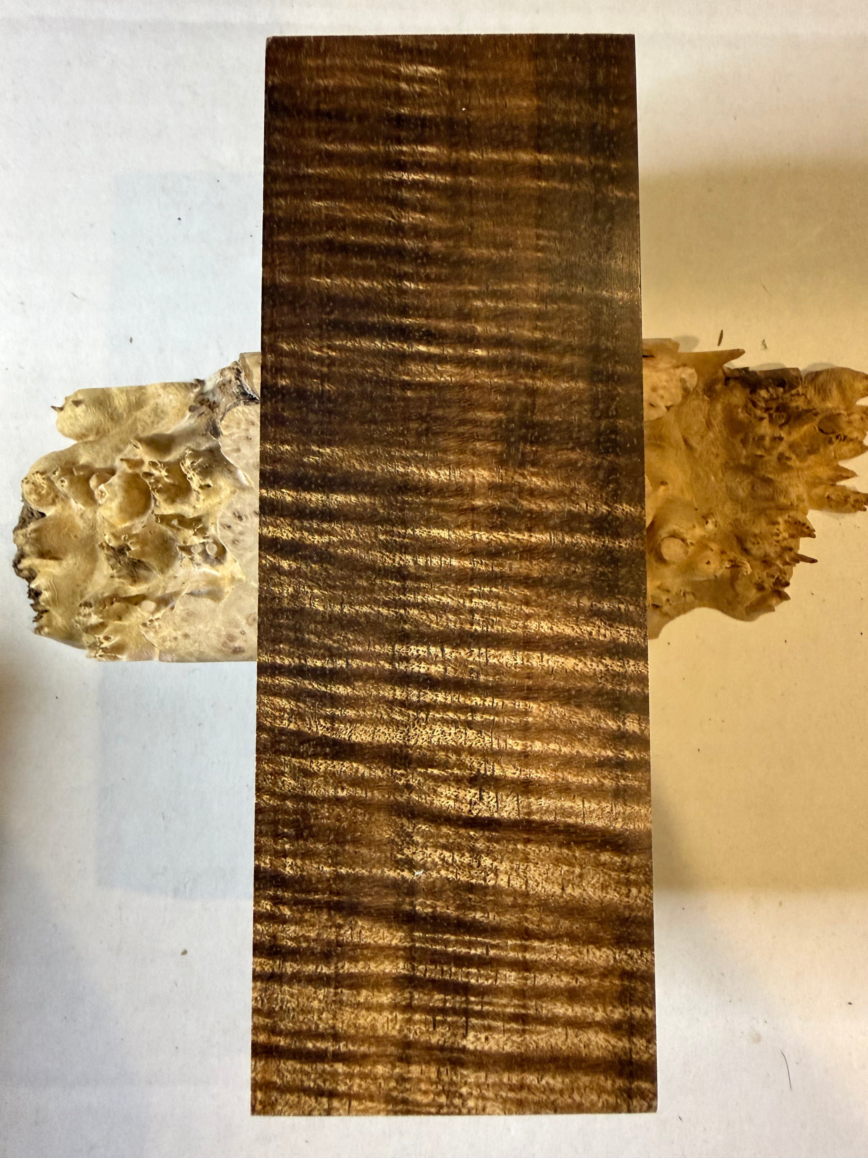 Tasmanian Blackwood | #0499
