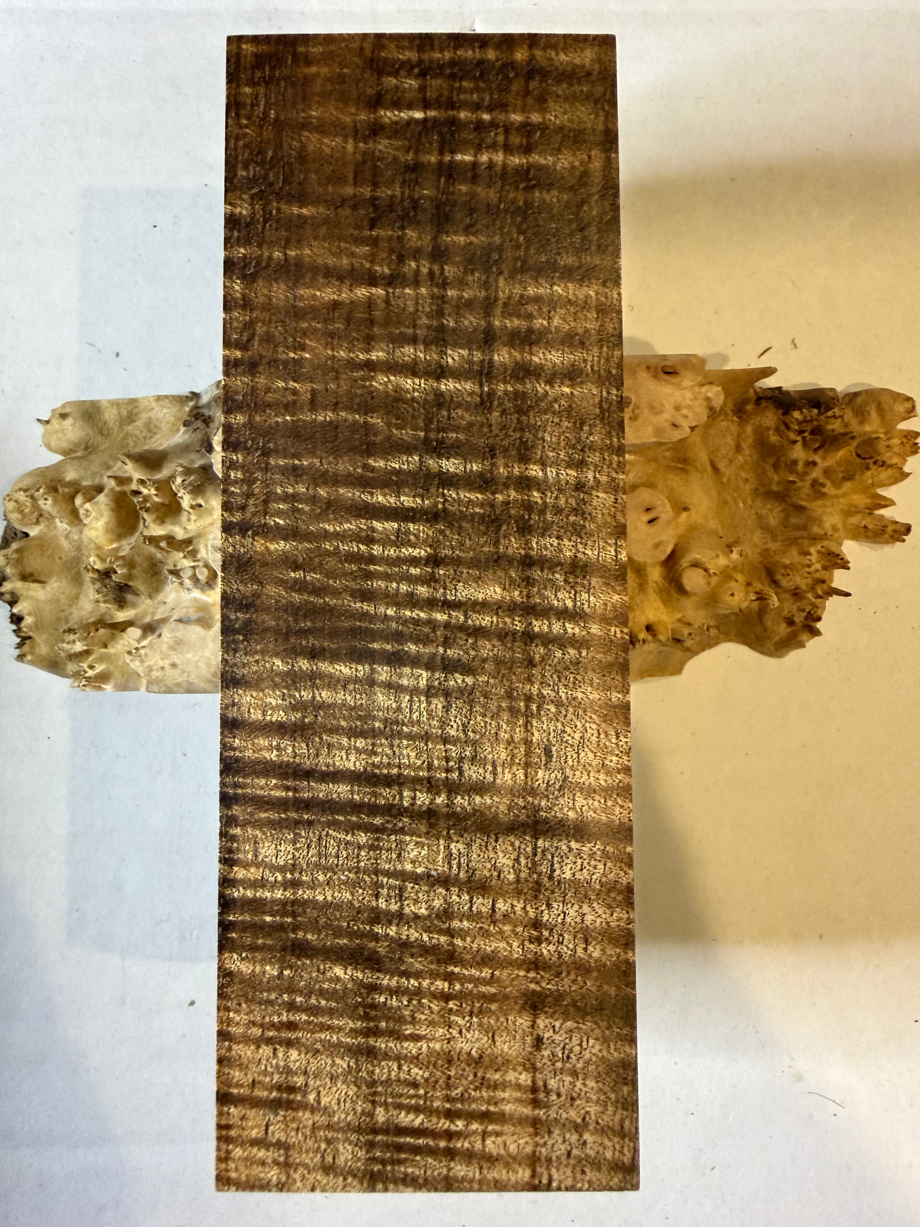 Tasmanian Blackwood | #0501