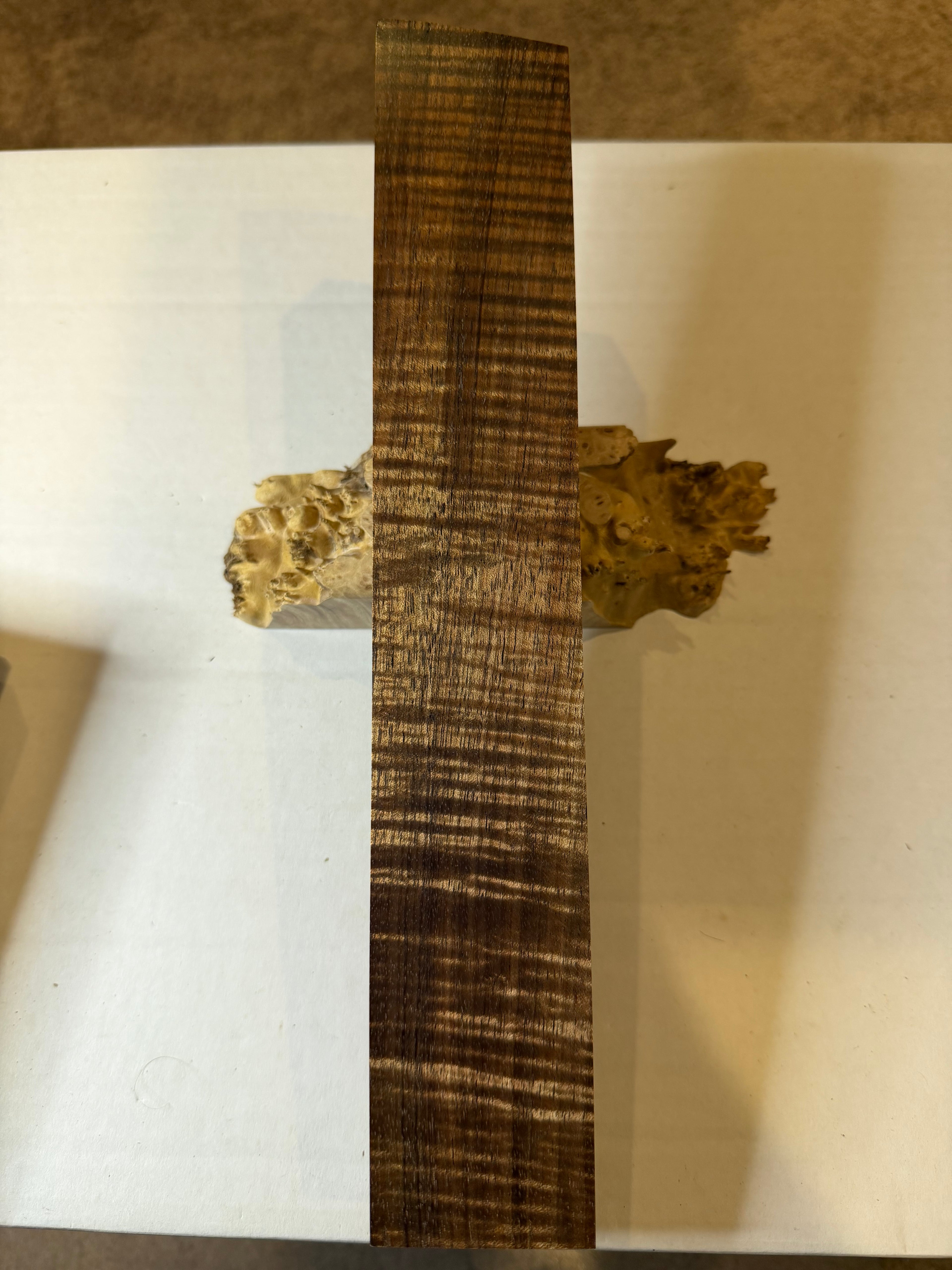 Tasmanian Blackwood | #0509