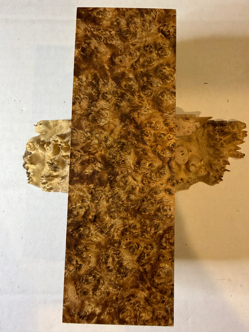 Ambonya Burl | #0516