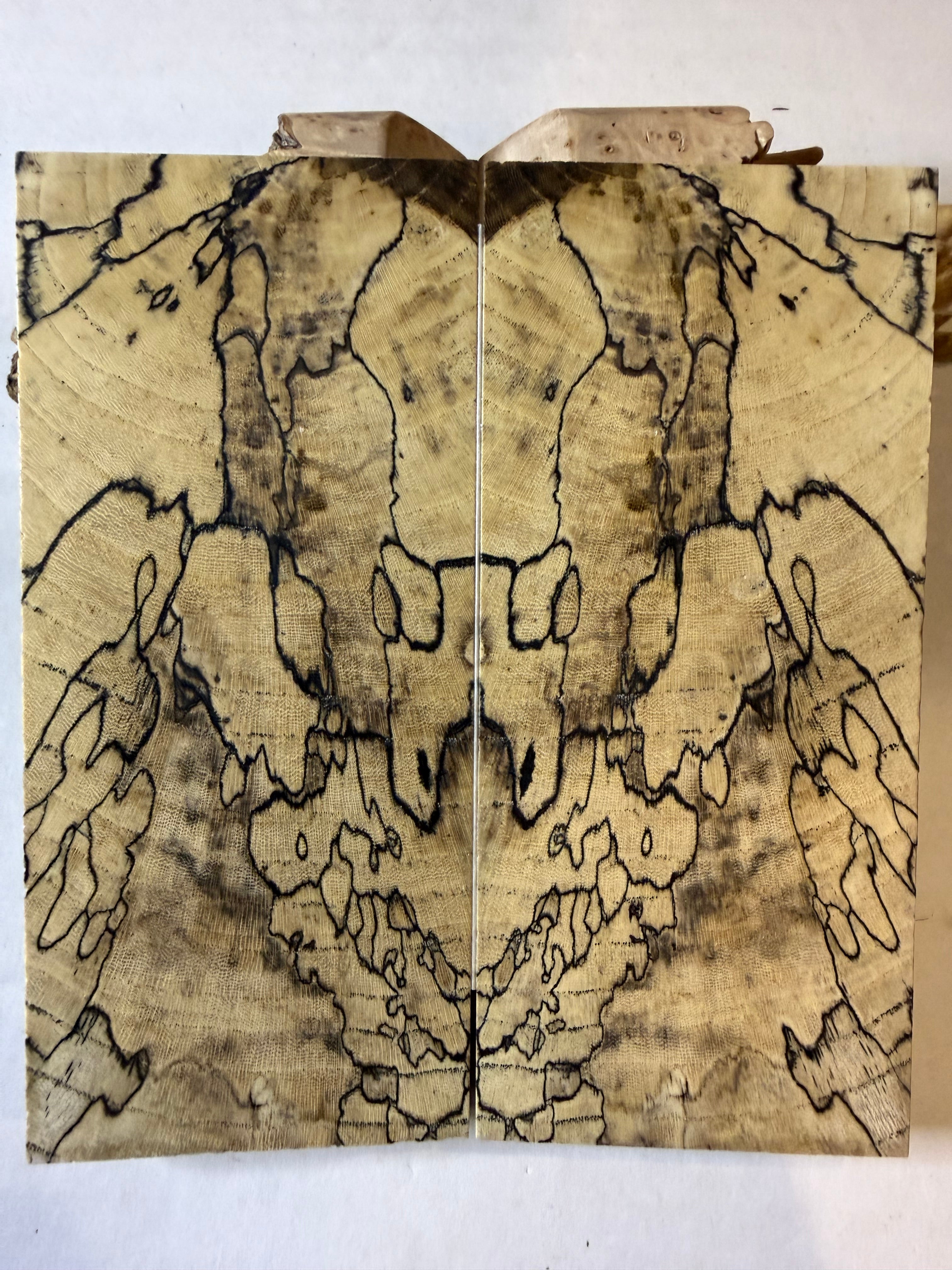 Hackberry | #0517