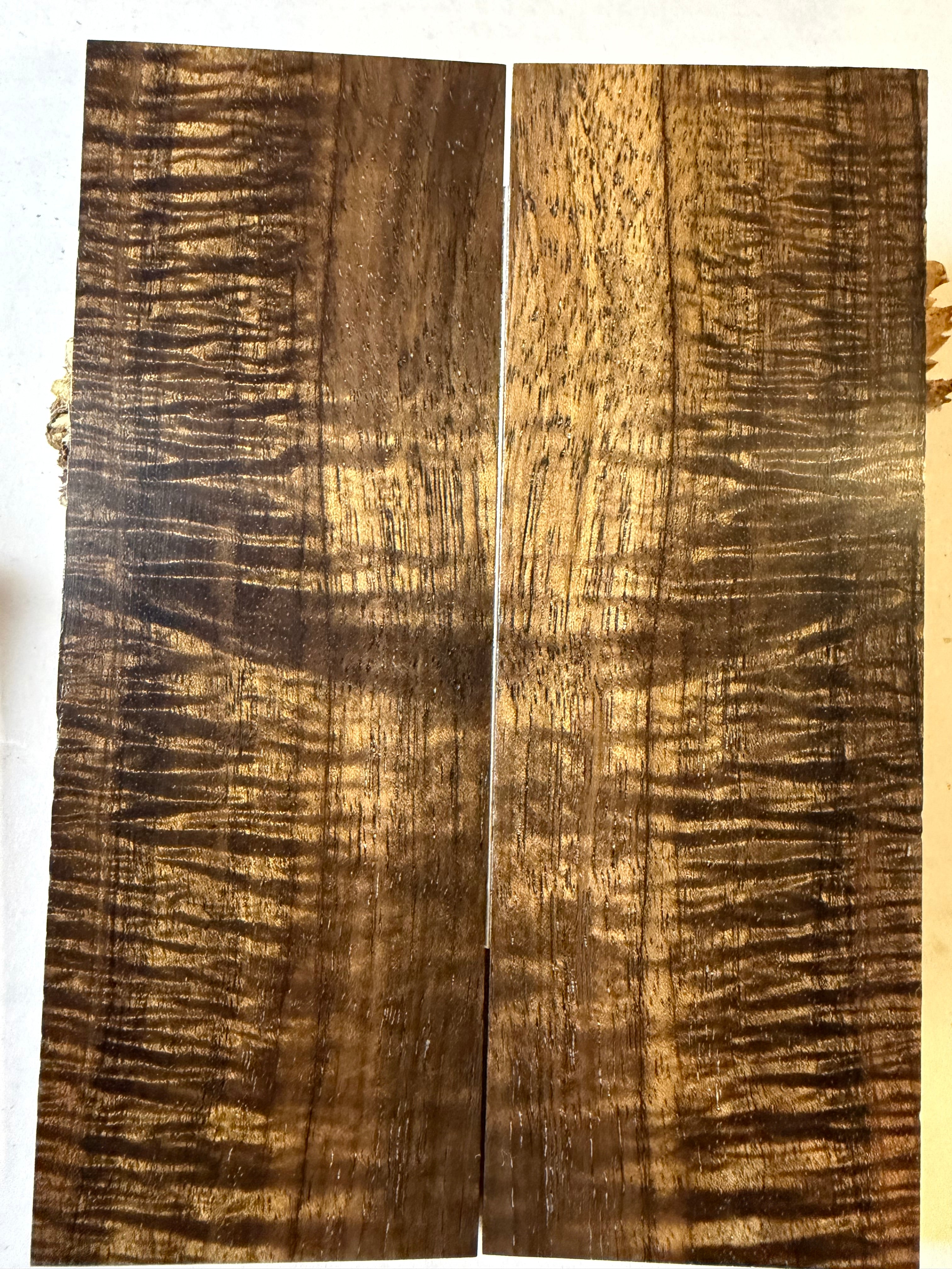 Koa | #0519