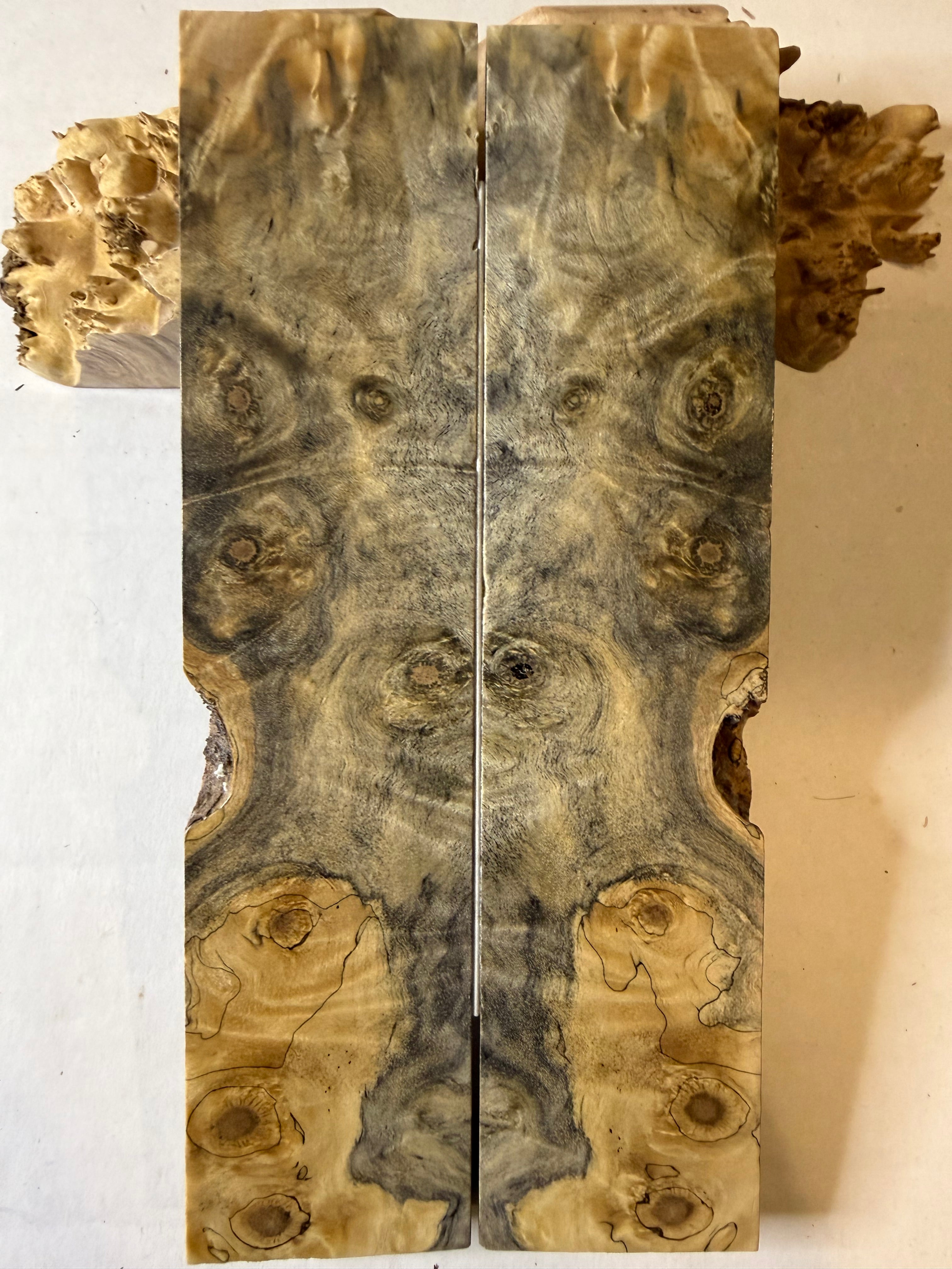 Buckeye Burl | #0521