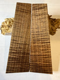 Tasmanian Blackwood | #0520
