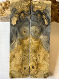 Buckeye Burl | #0526