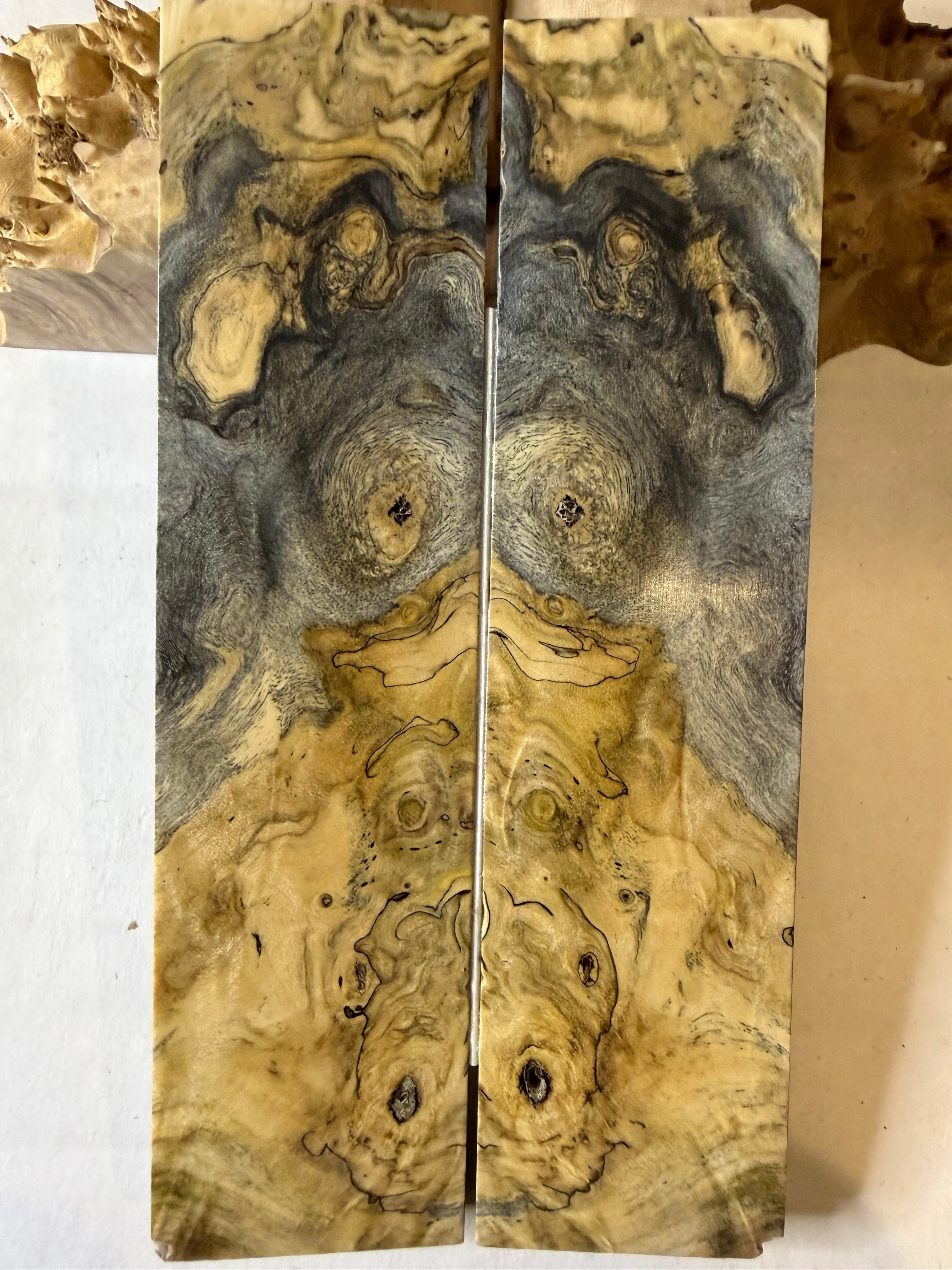 Buckeye Burl | #0526