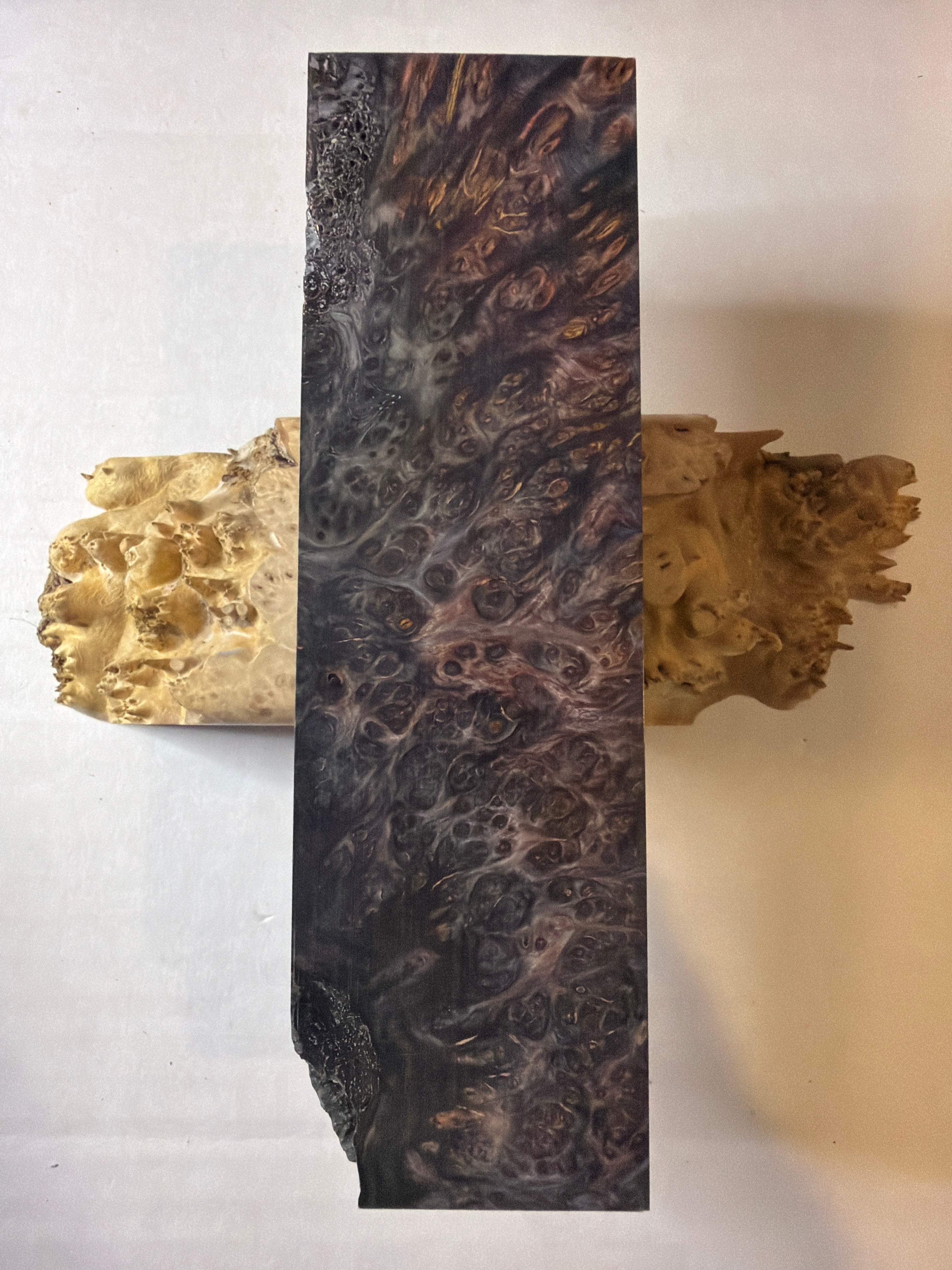Yellow Cedar Burl | #0252