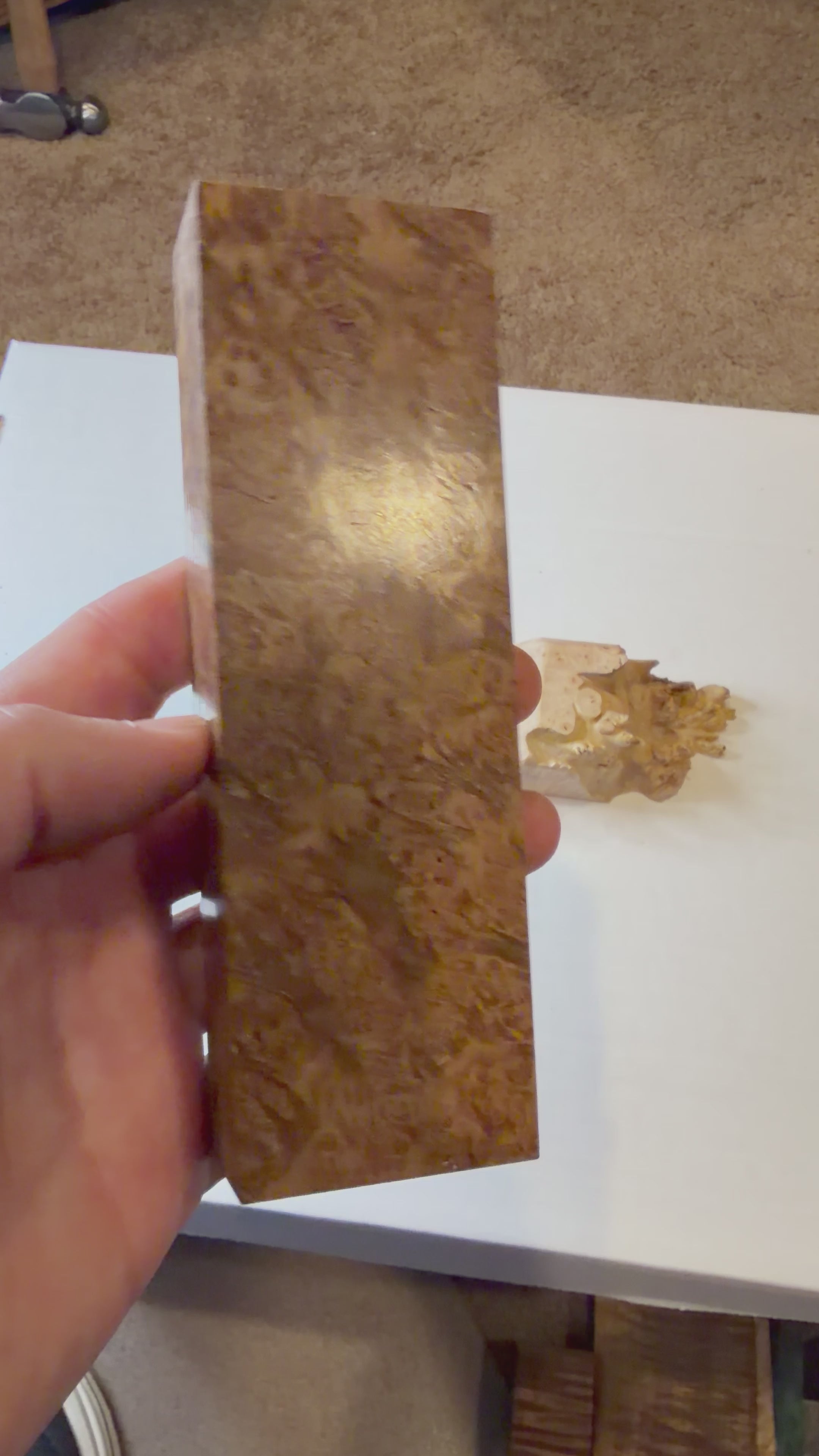 Redwood Burl | #0248
