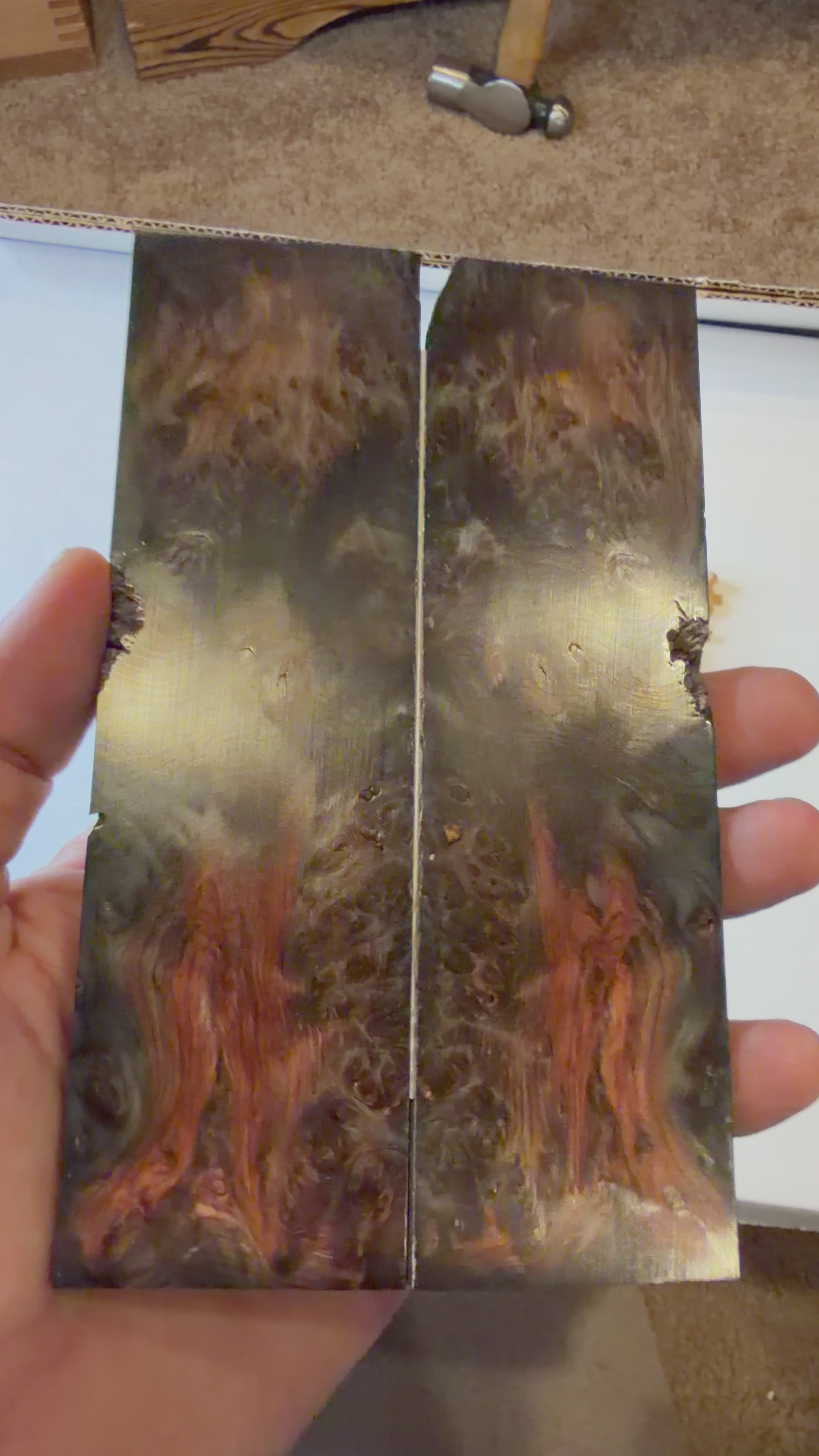 Yellow Cedar Burl | #0390