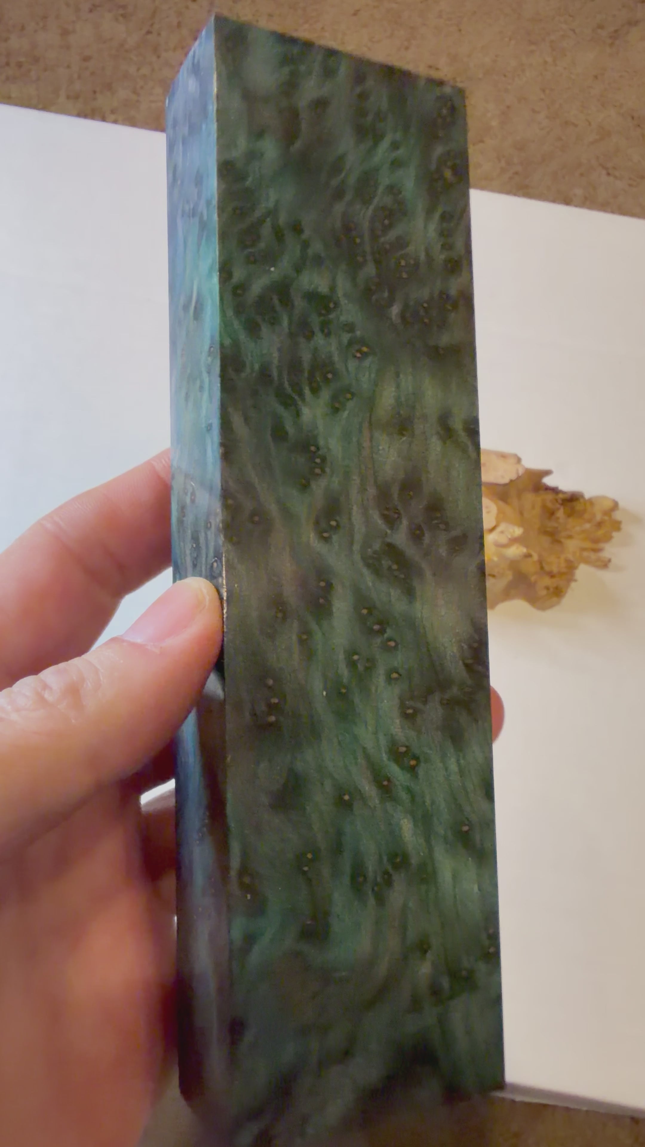 Redwood Burl | #0253