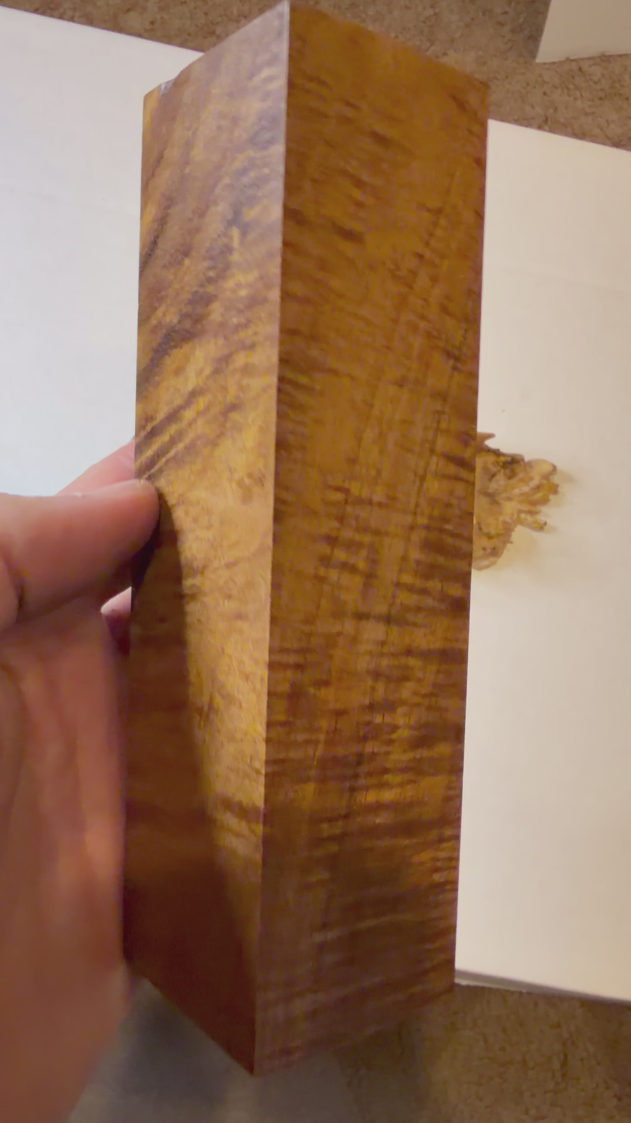 Tasmanian Blackwood | #0226