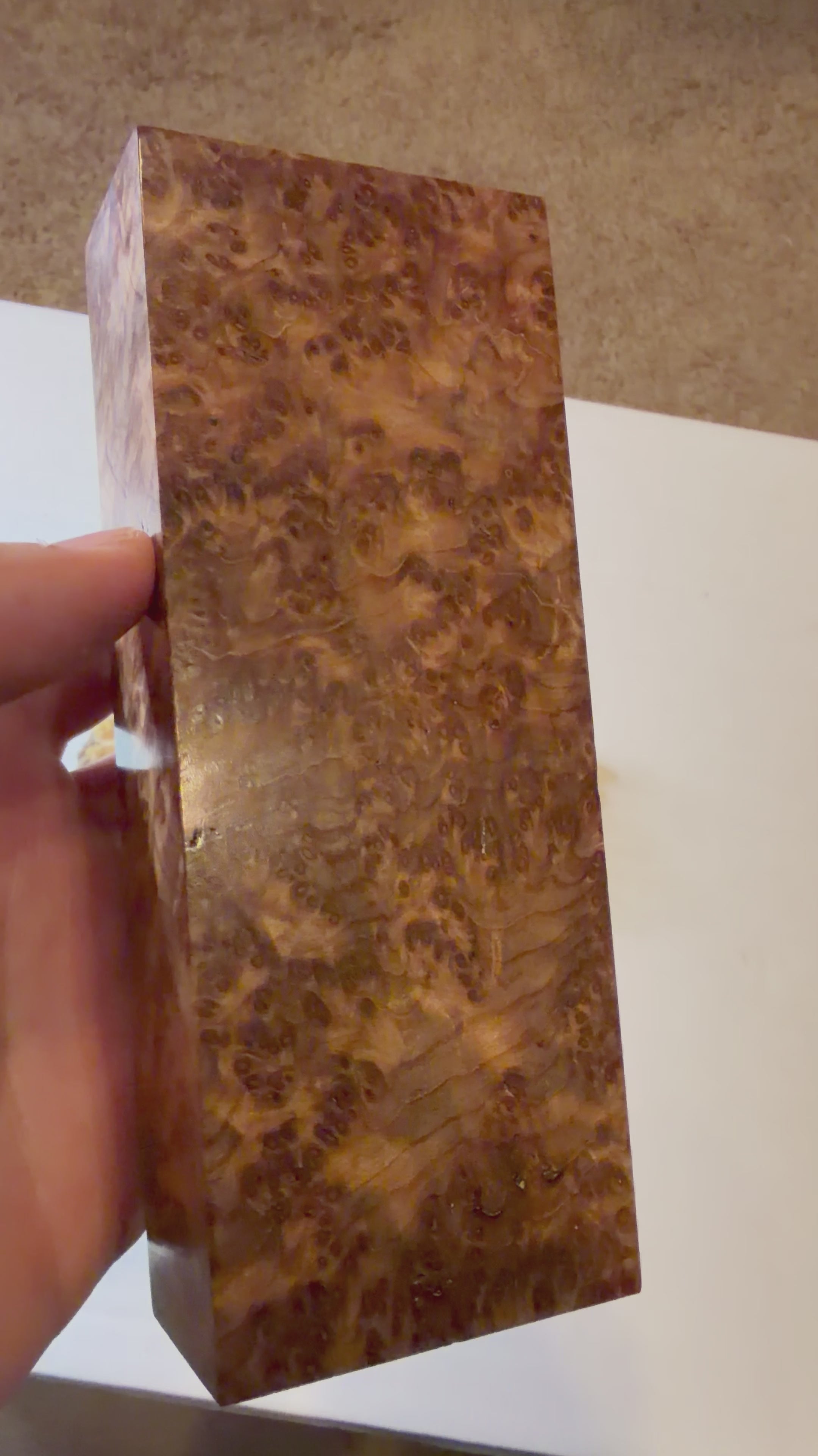Redwood Burl | #0244