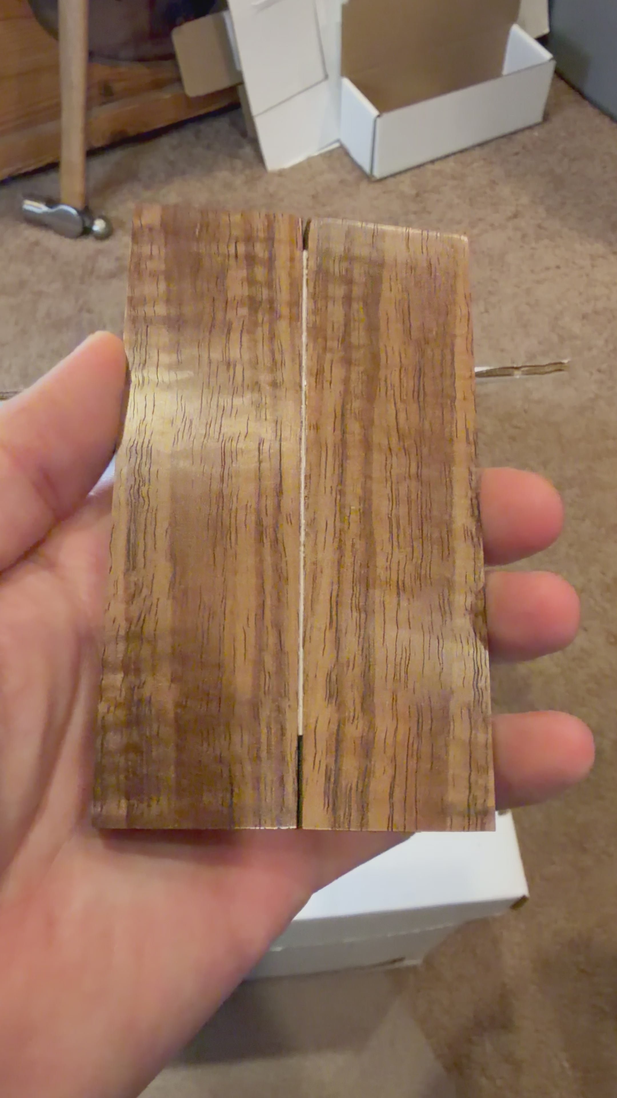 Tasmanian Blackwood | #0461