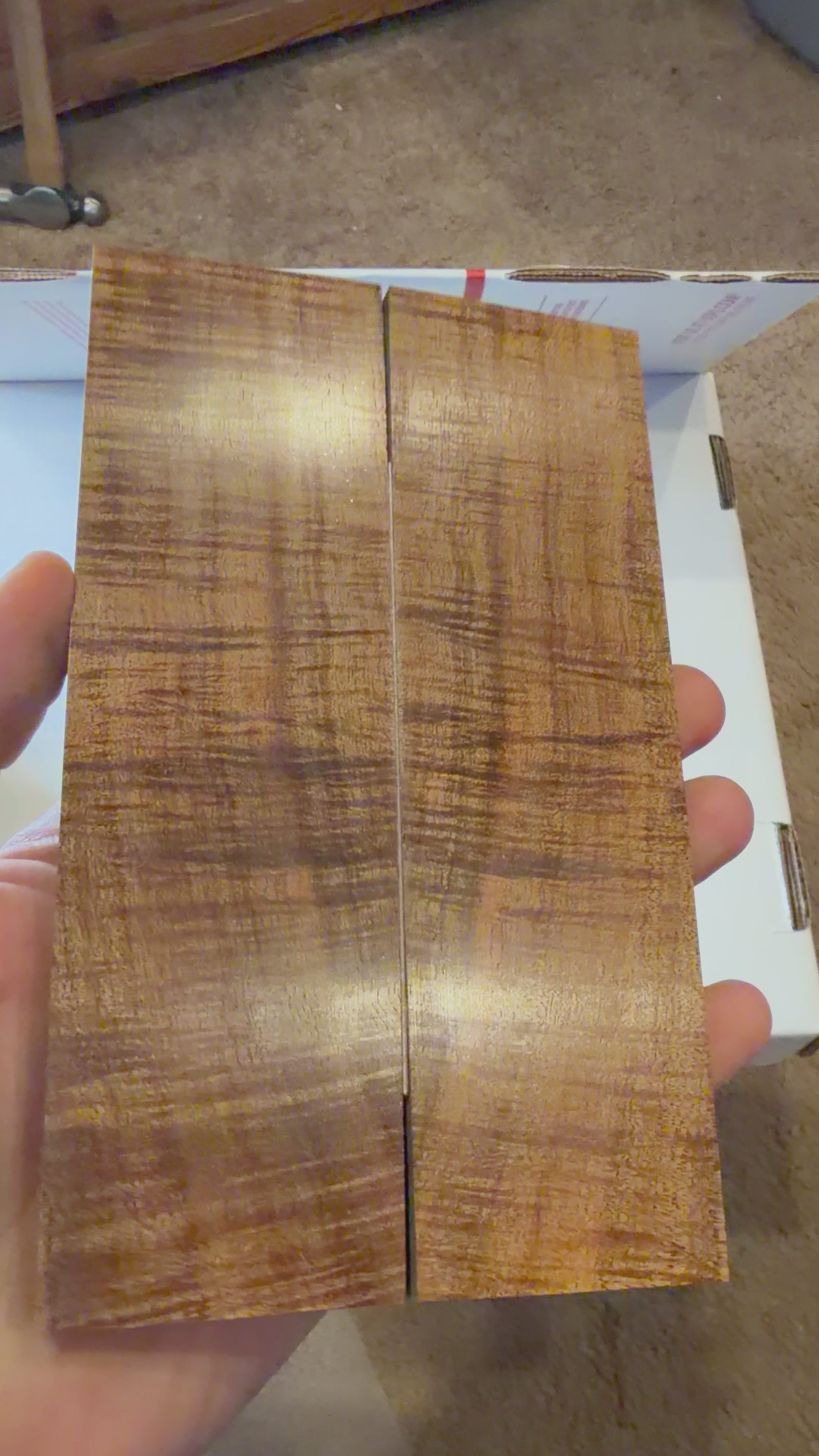 Tasmanian Blackwood | #0332