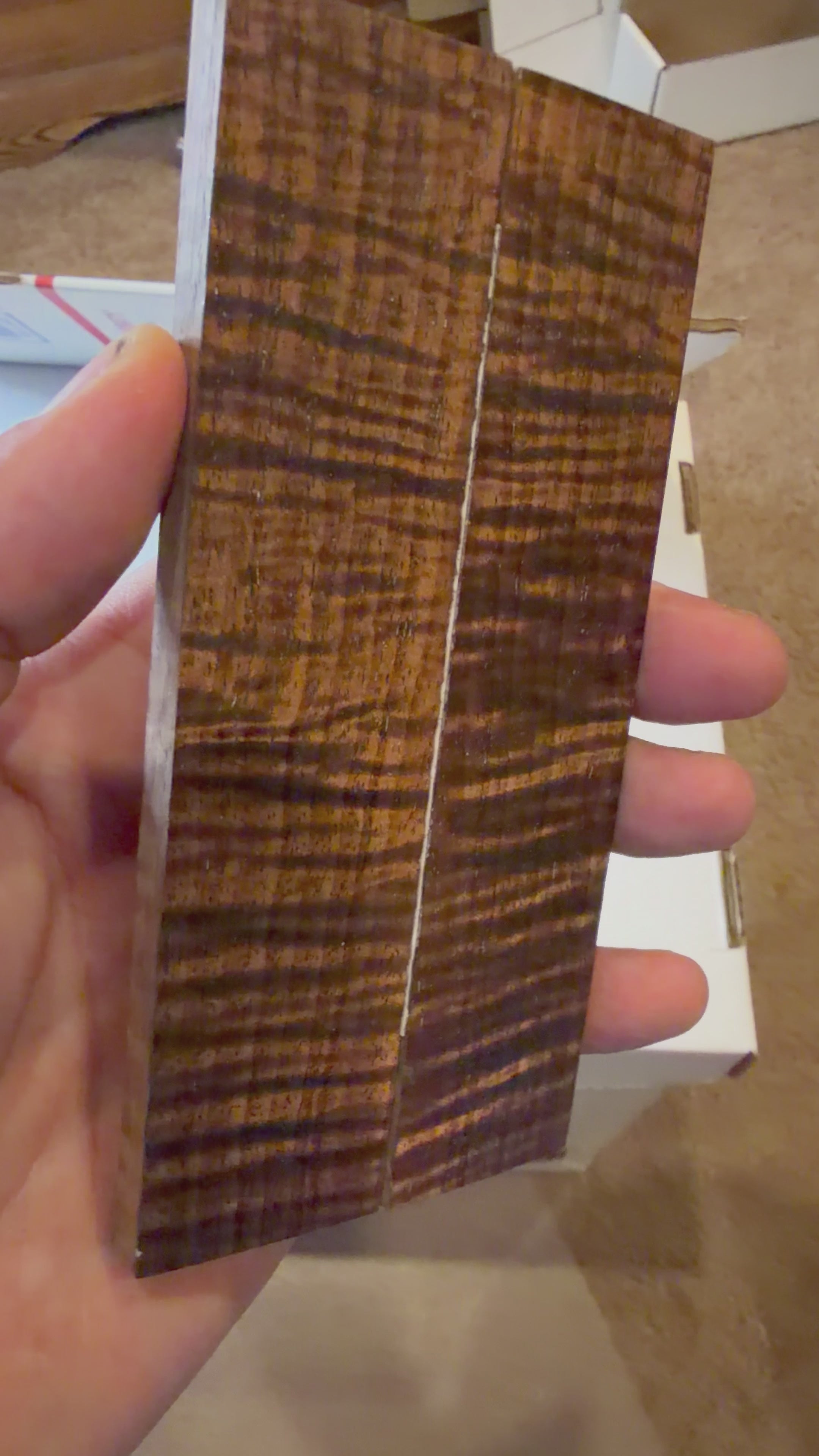 Tasmanian Blackwood | #0453