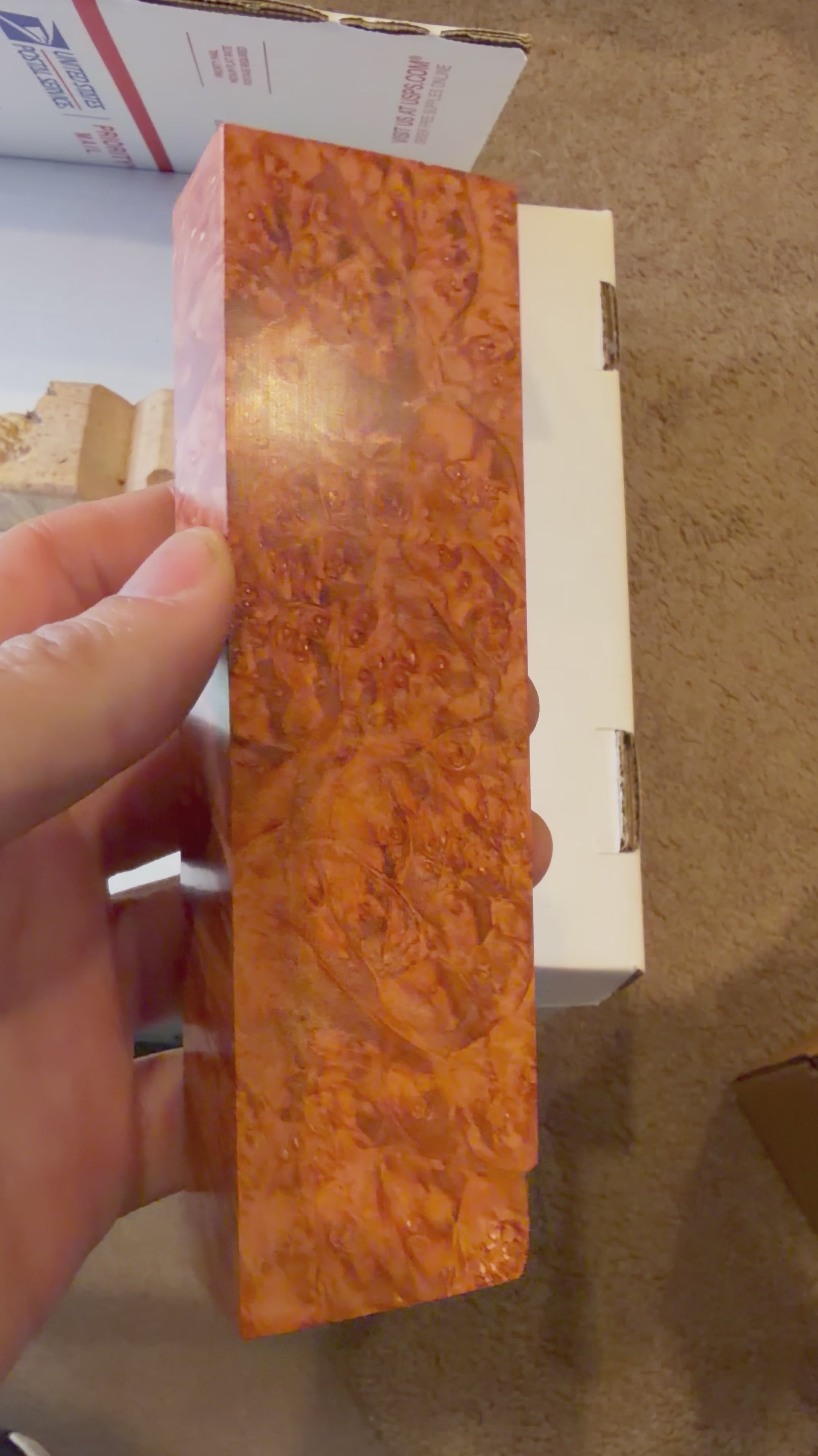 Boxelder Burl | #0267