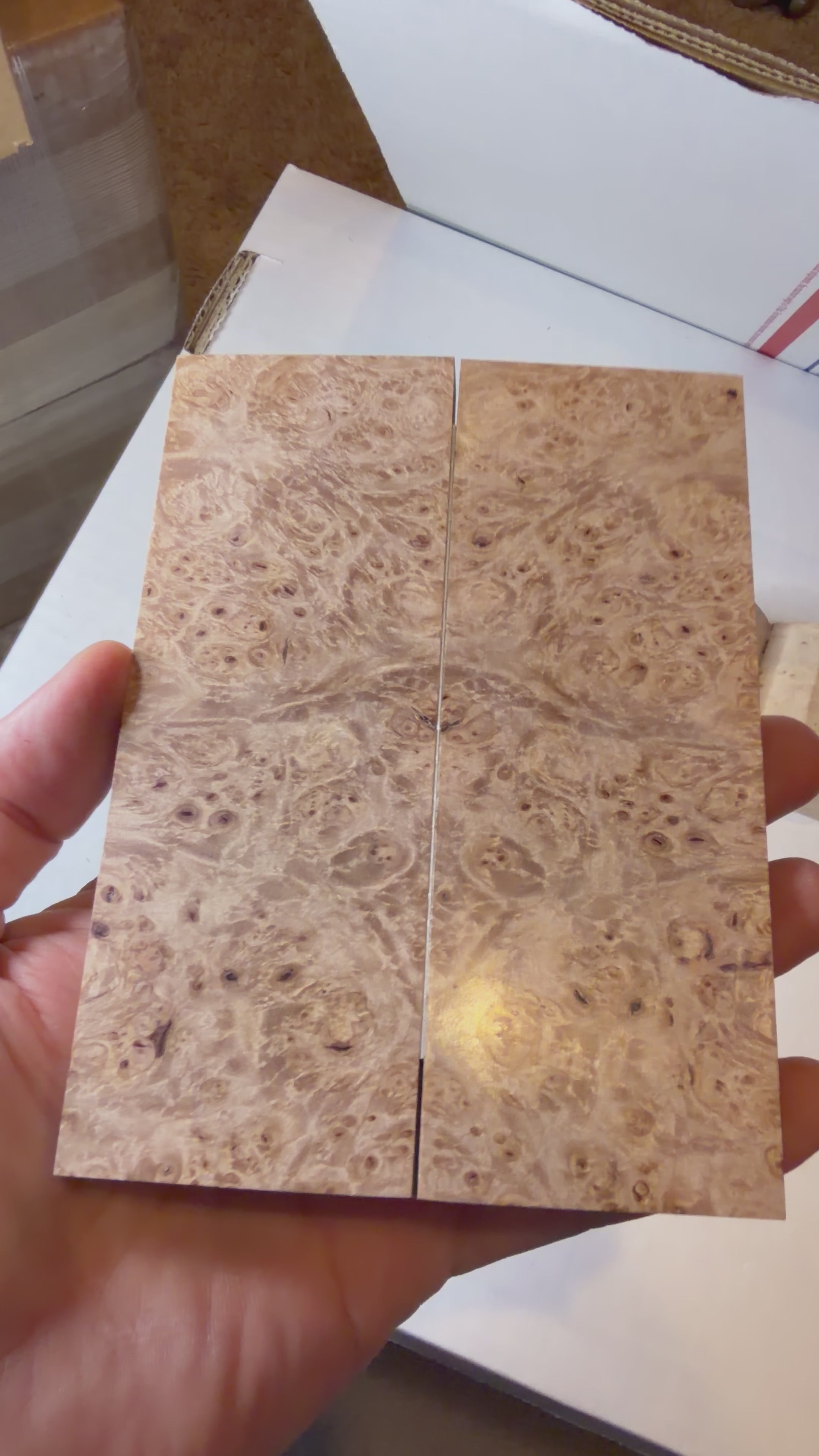 Maple Burl | #0557