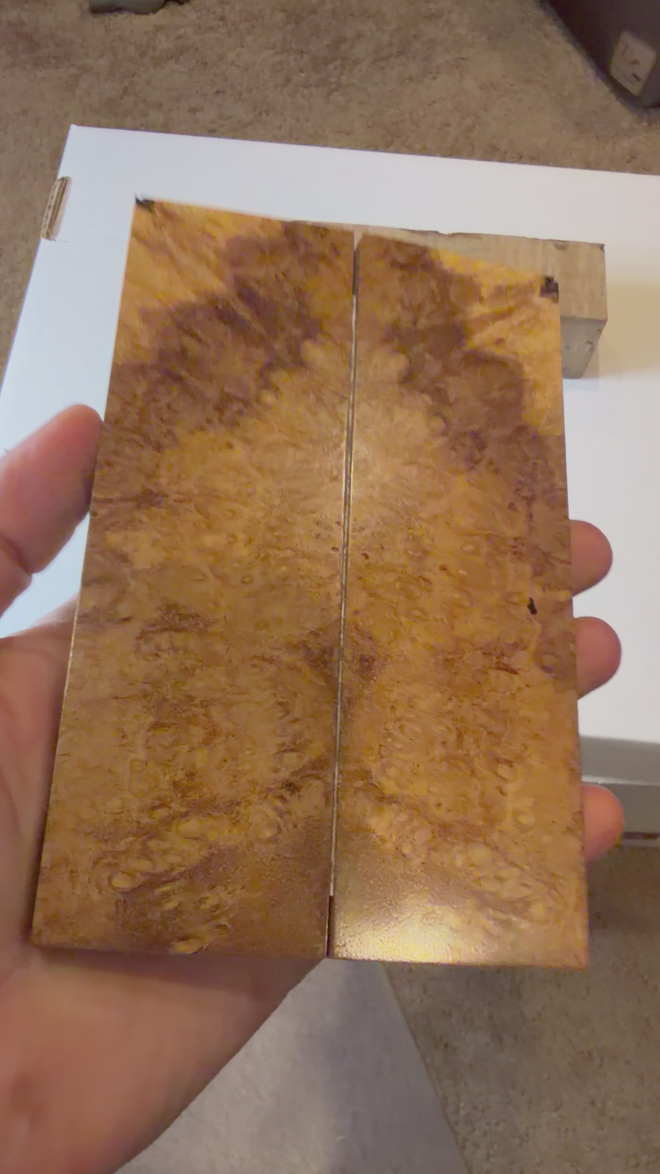 River Tamarind Burl | #0128