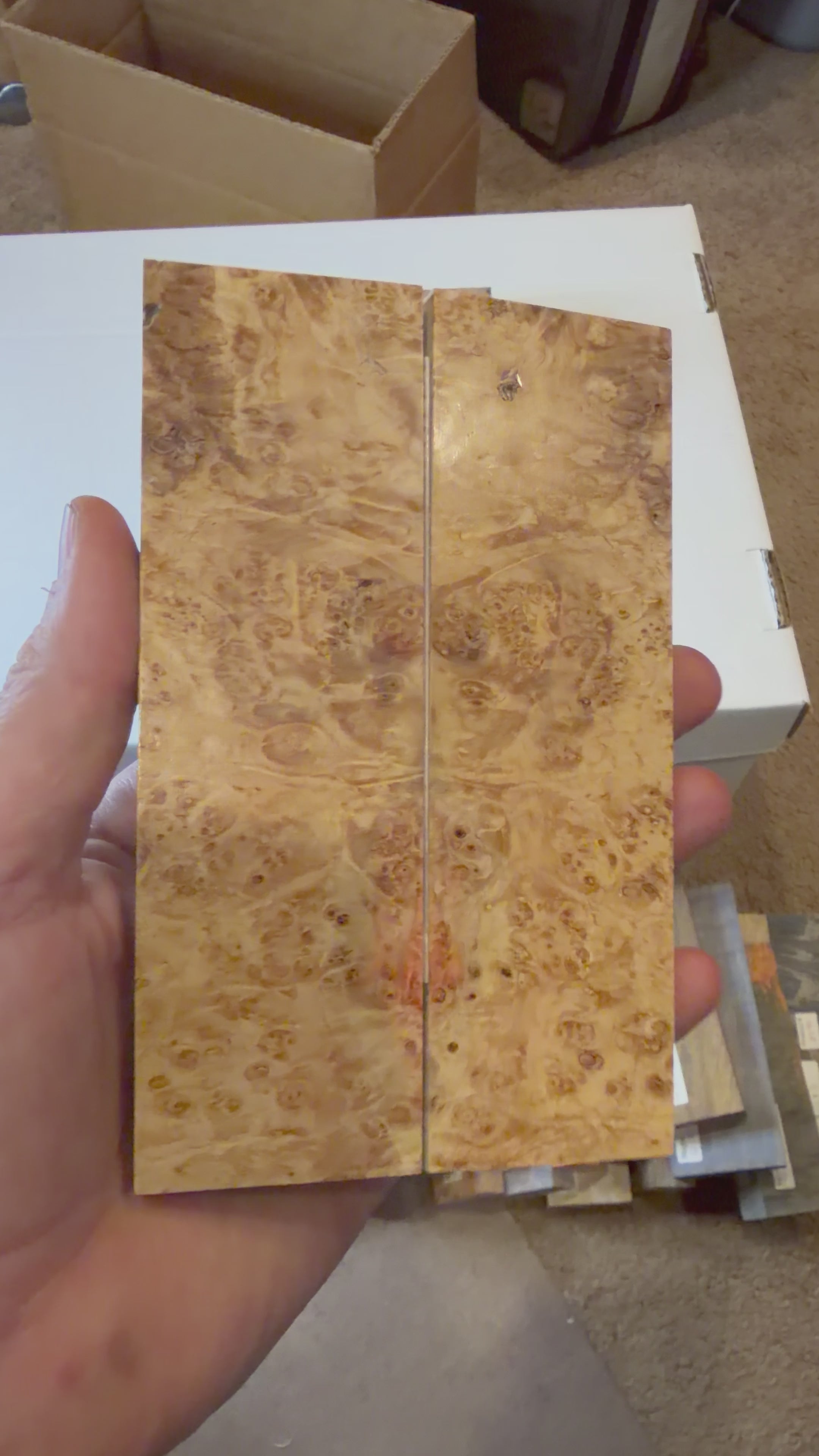Boxelder Burl | #0166