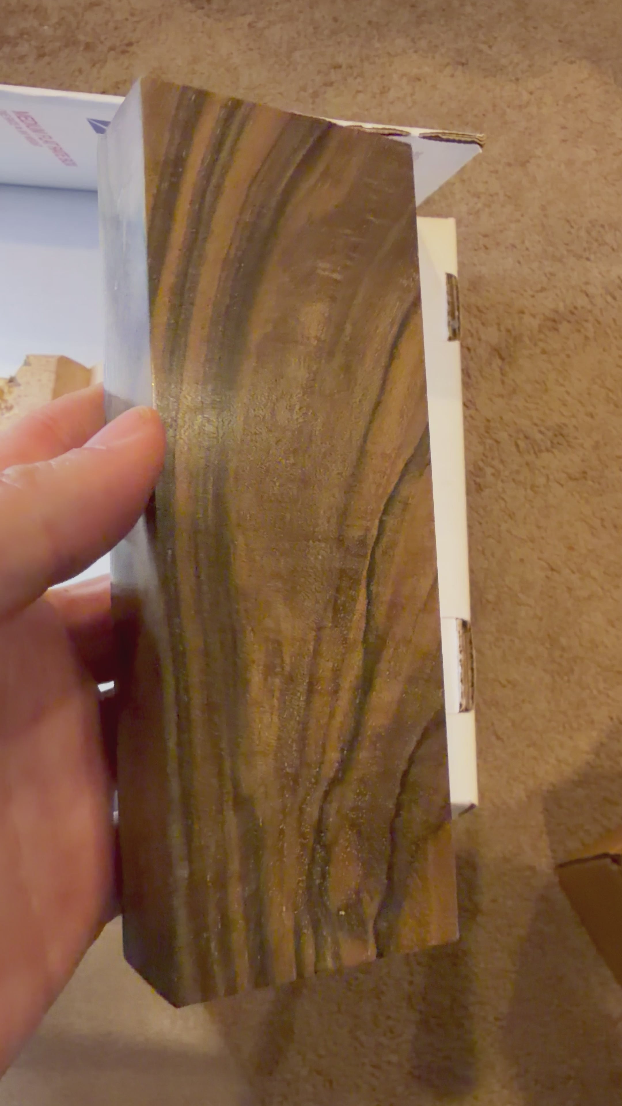 Turkish Walnut | #0265