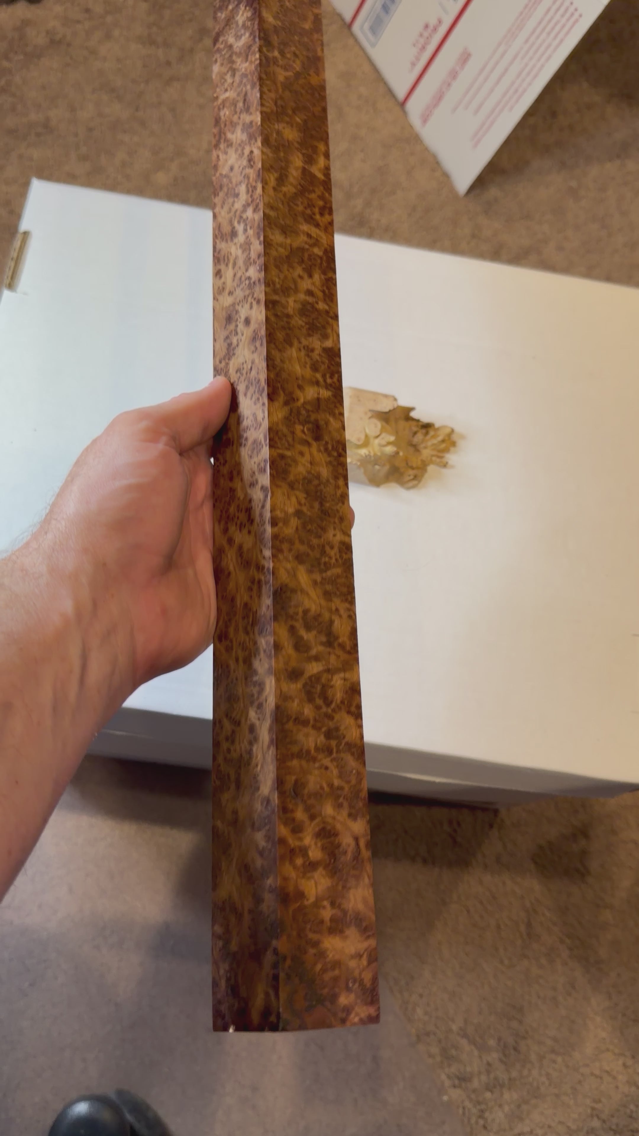 Redwood Burl Cue| #0218