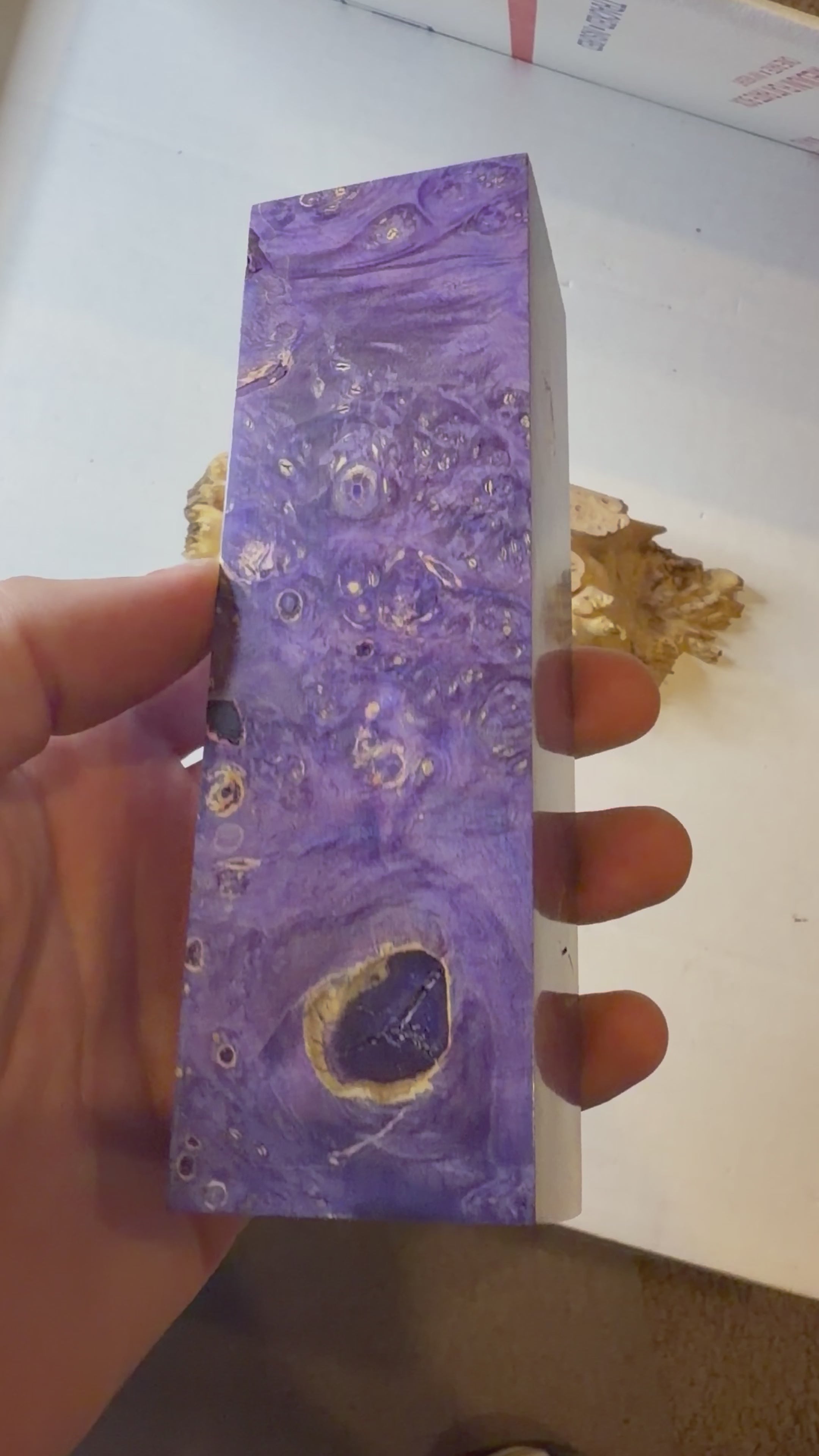 Boxelder Burl | #0632 Discounted