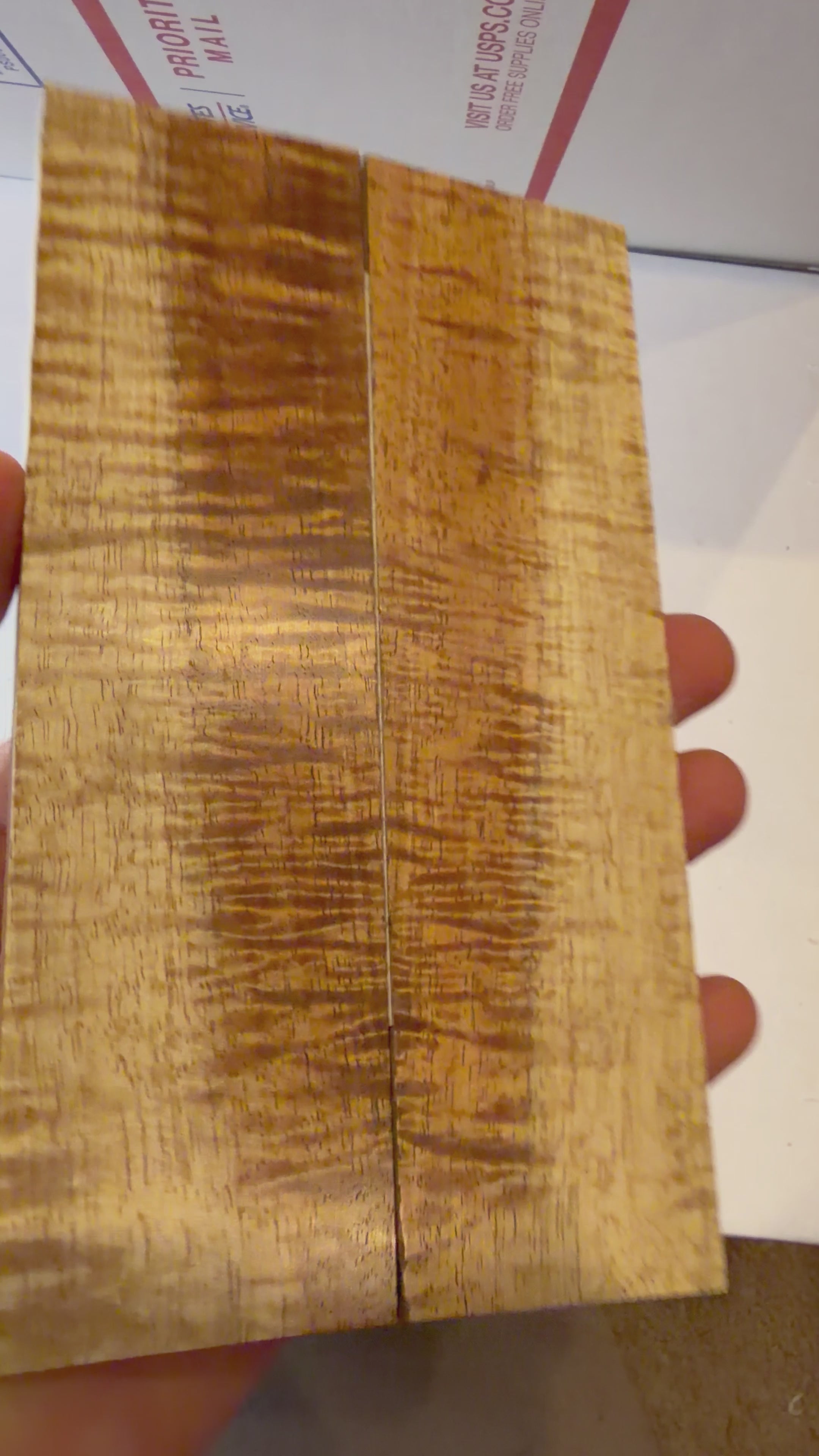 Tasmanian Blackwood | #0522