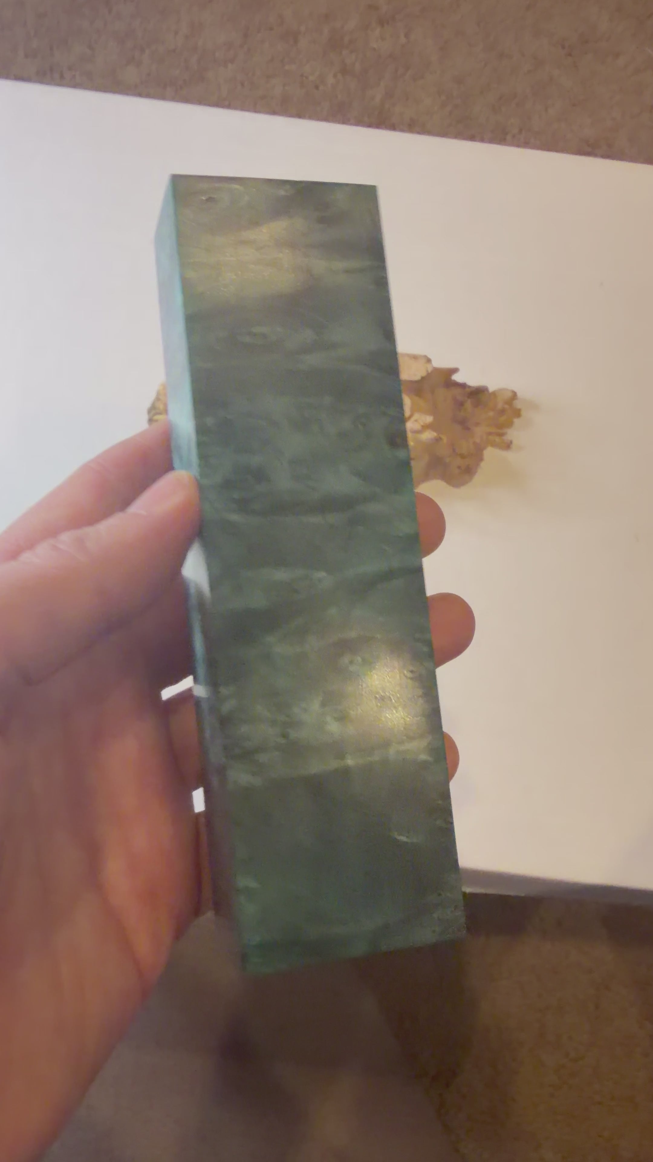 Buckeye Burl | #0240