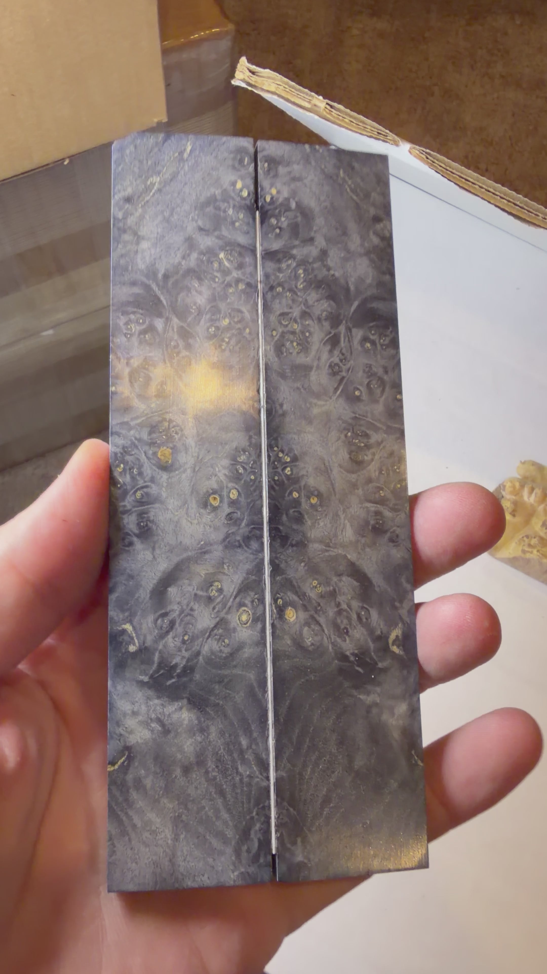 Boxelder Burl | #0566