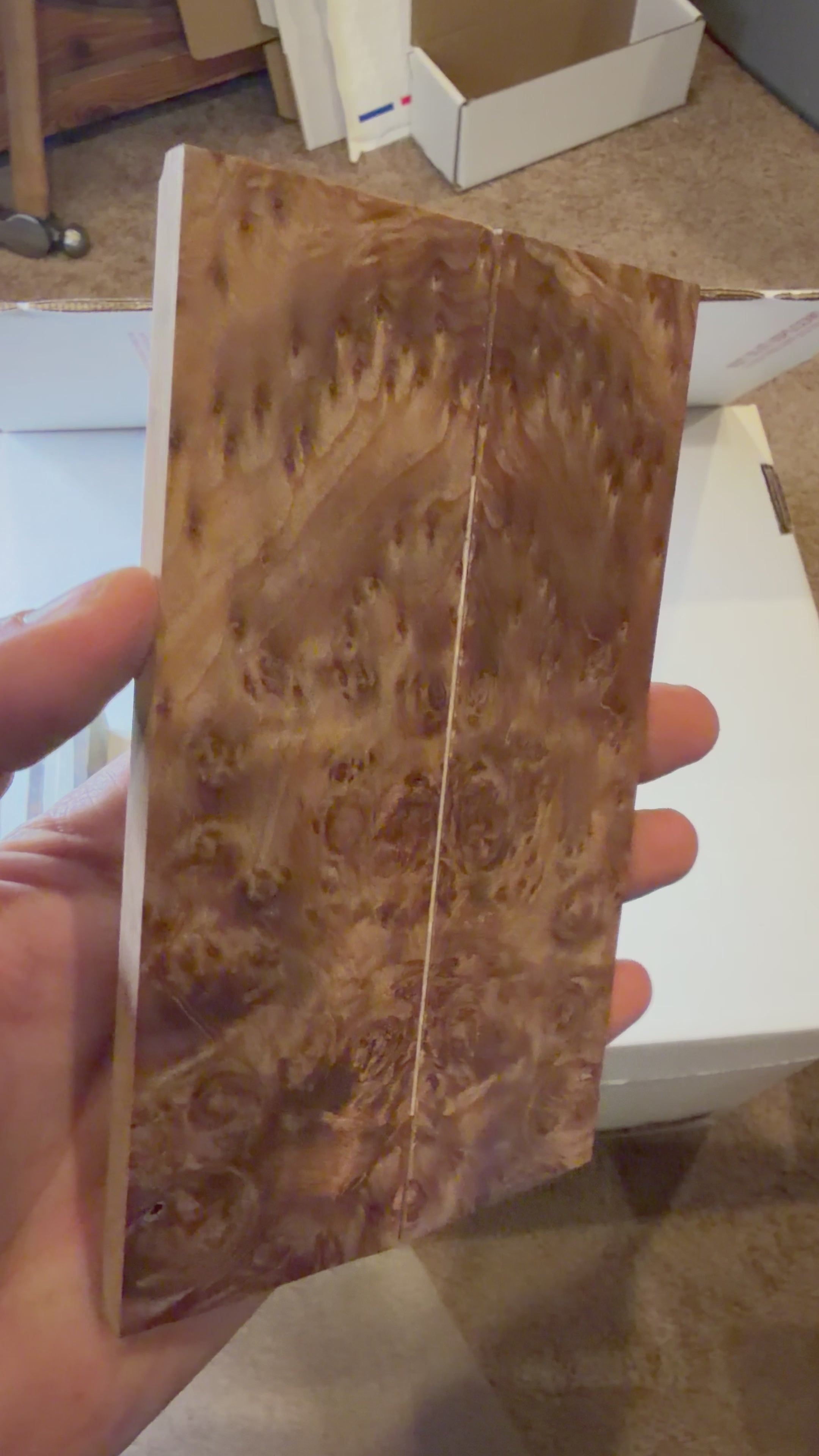 Redwood Burl | #0367