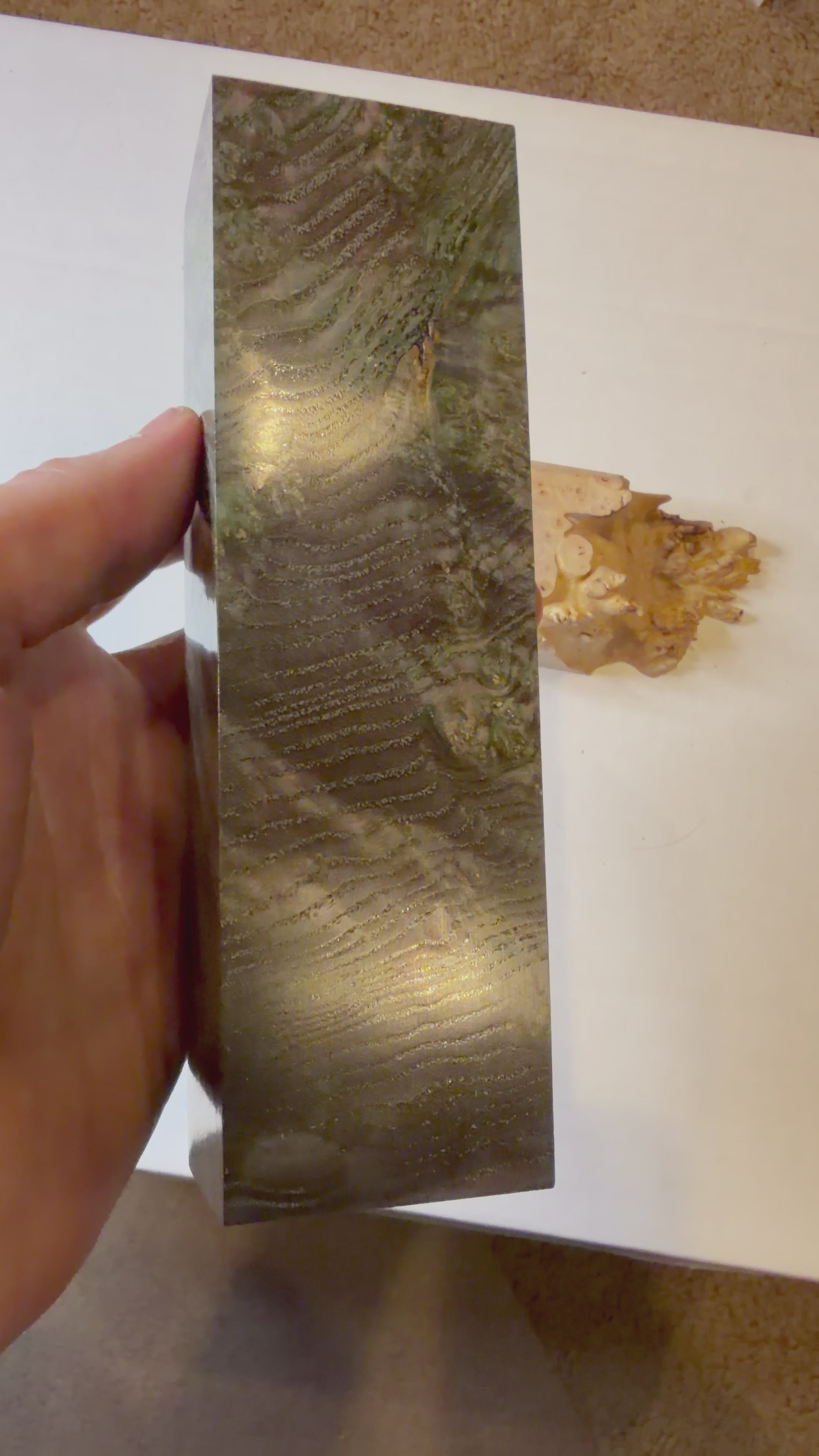 Blackash Burl | #0220