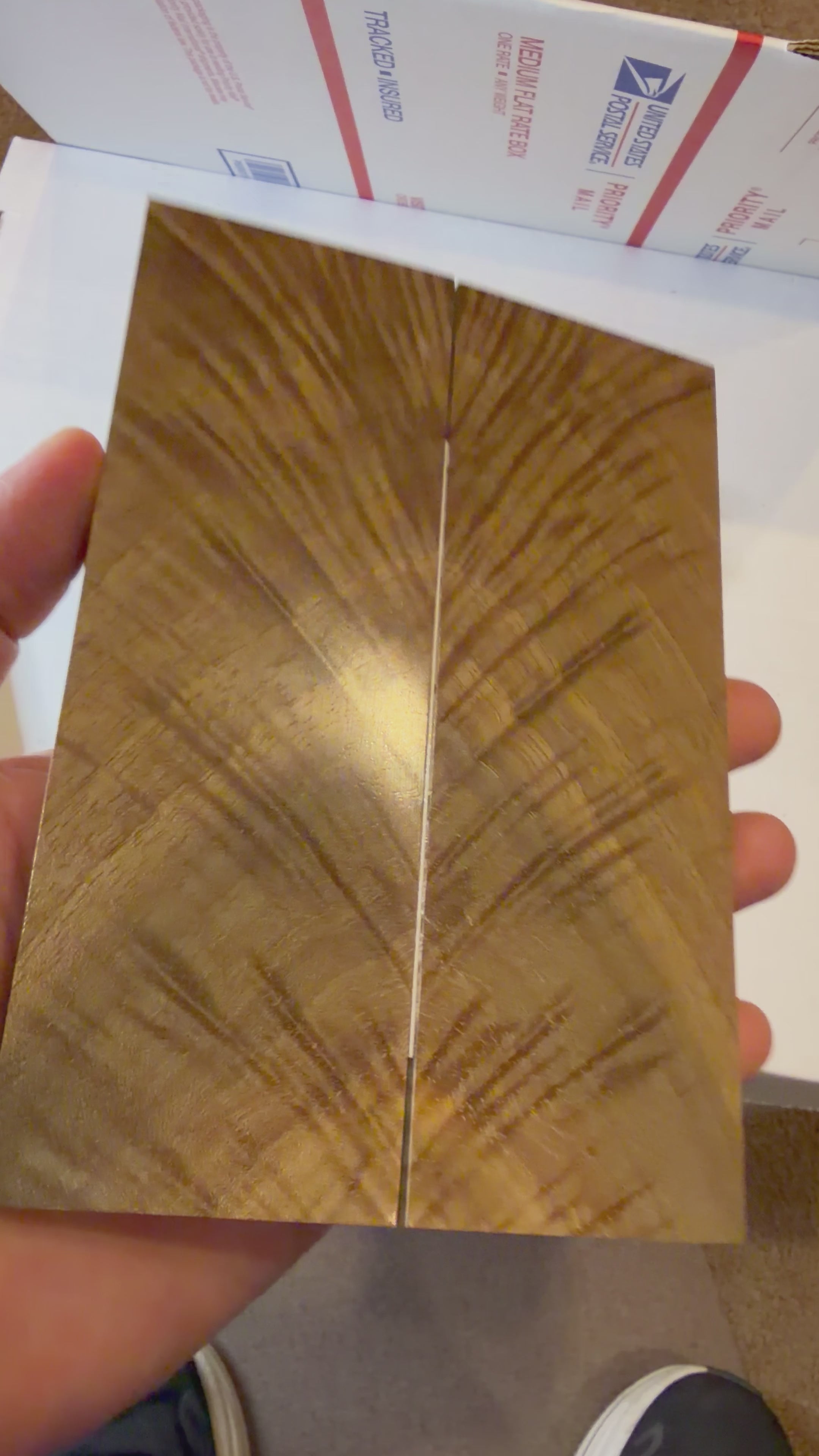 Walnut | #0493