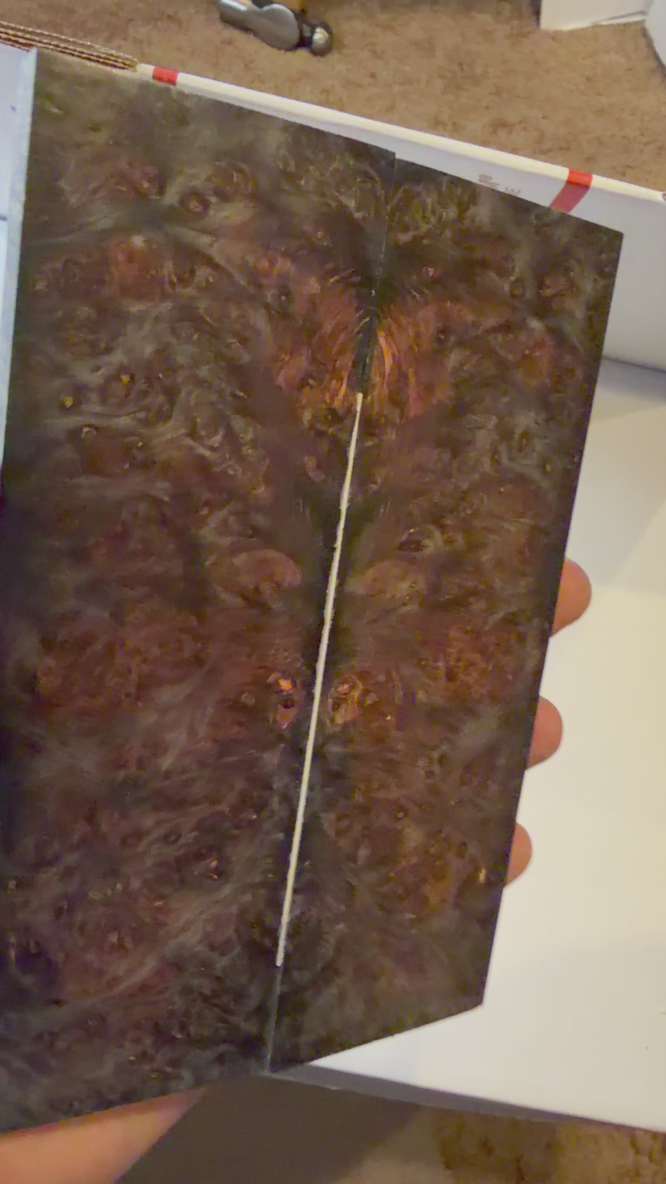 Yellow Cedar Burl | #0445