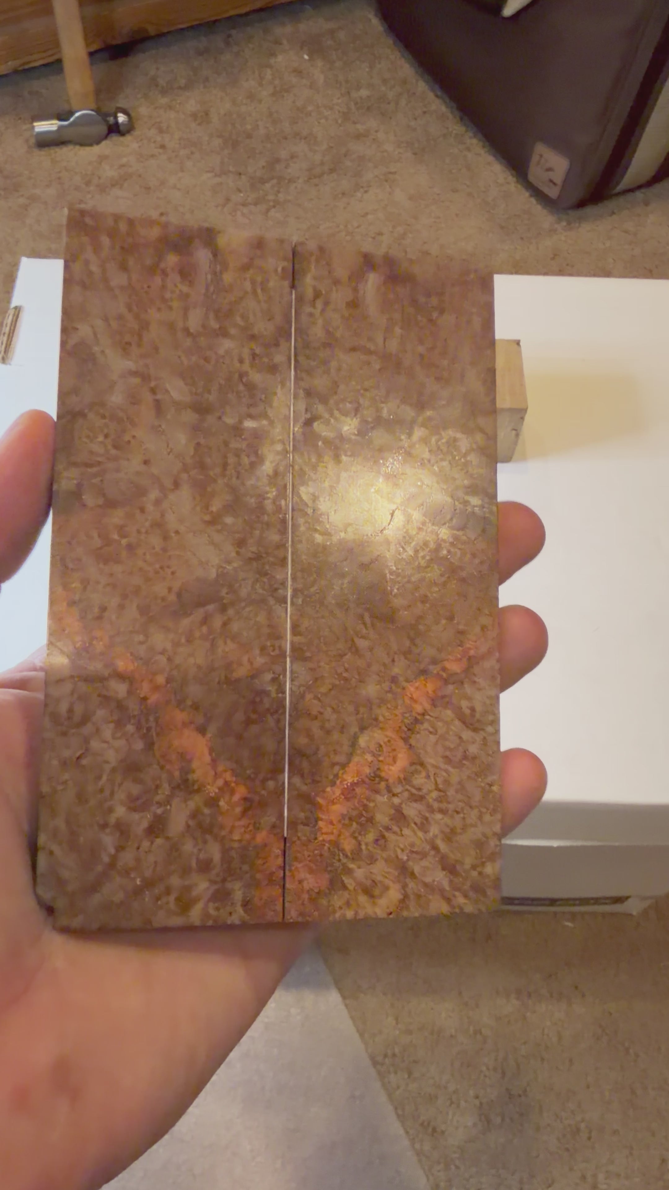 Blackash Burl | #0156