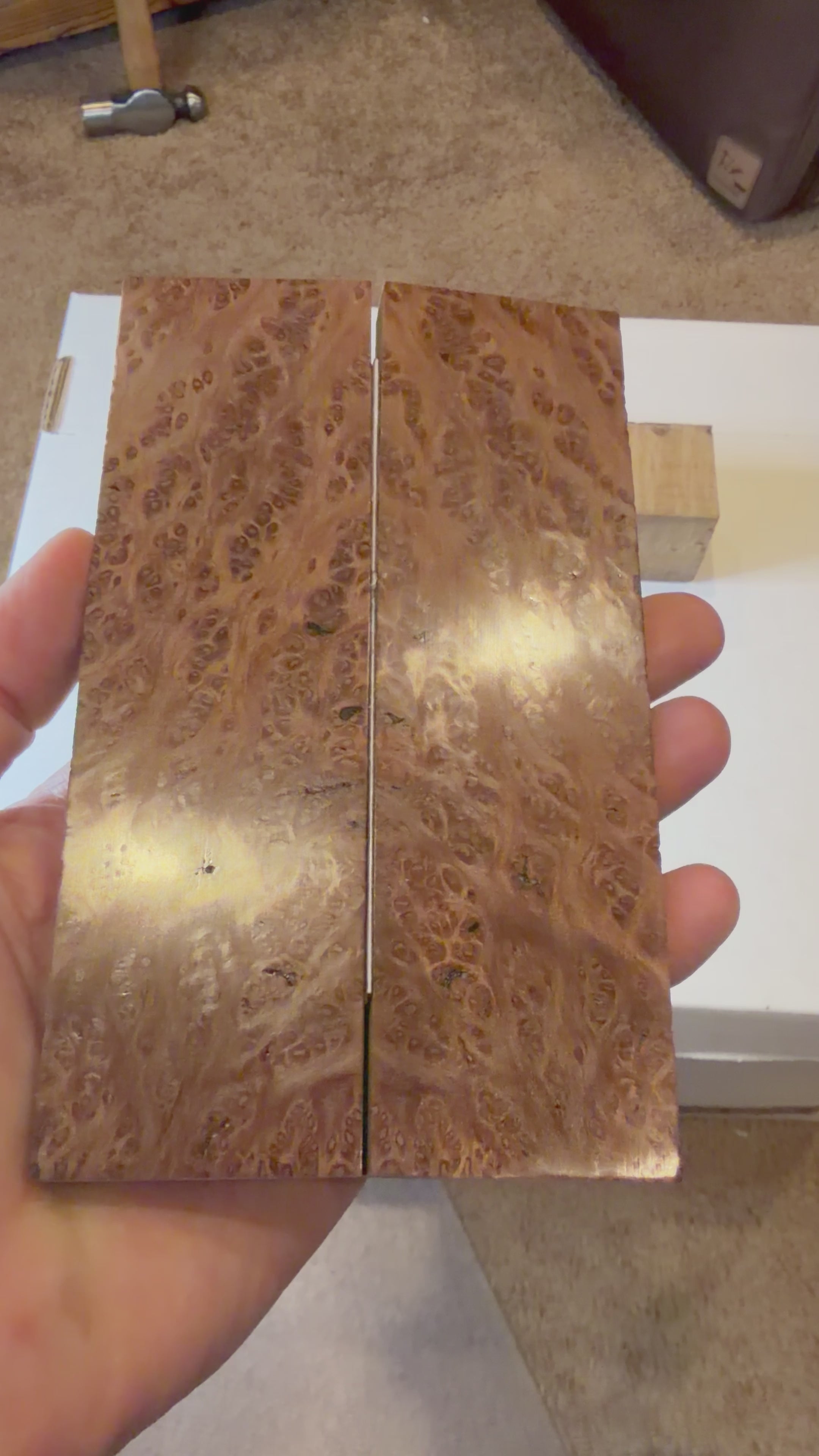 Redwood Burl | #0175