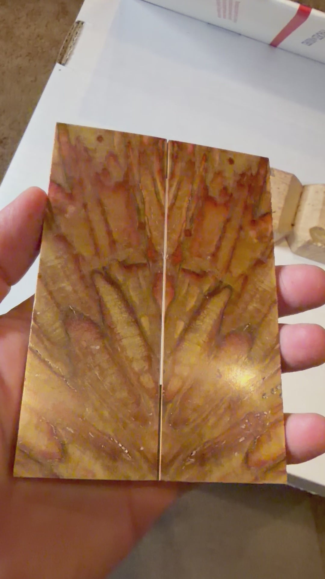 (Discounted) Boxelder | #0483