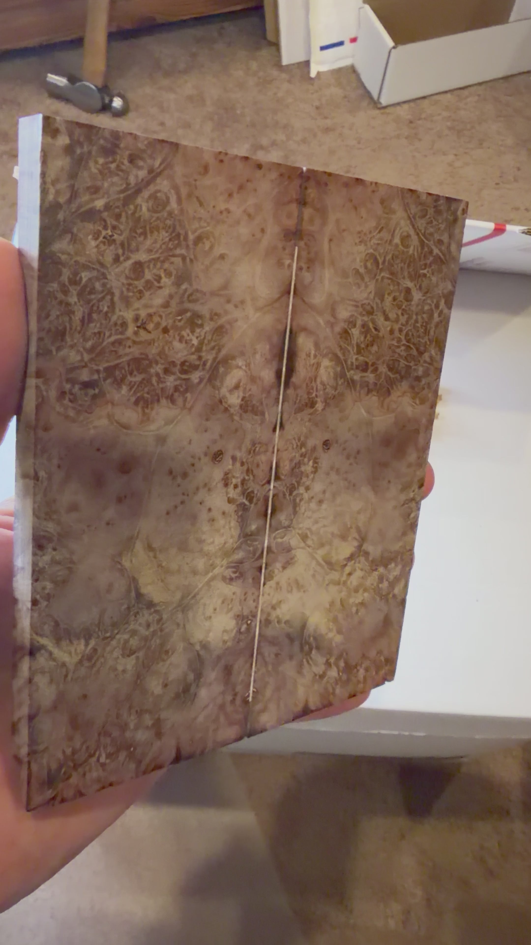 Boxelder Burl | # 0356