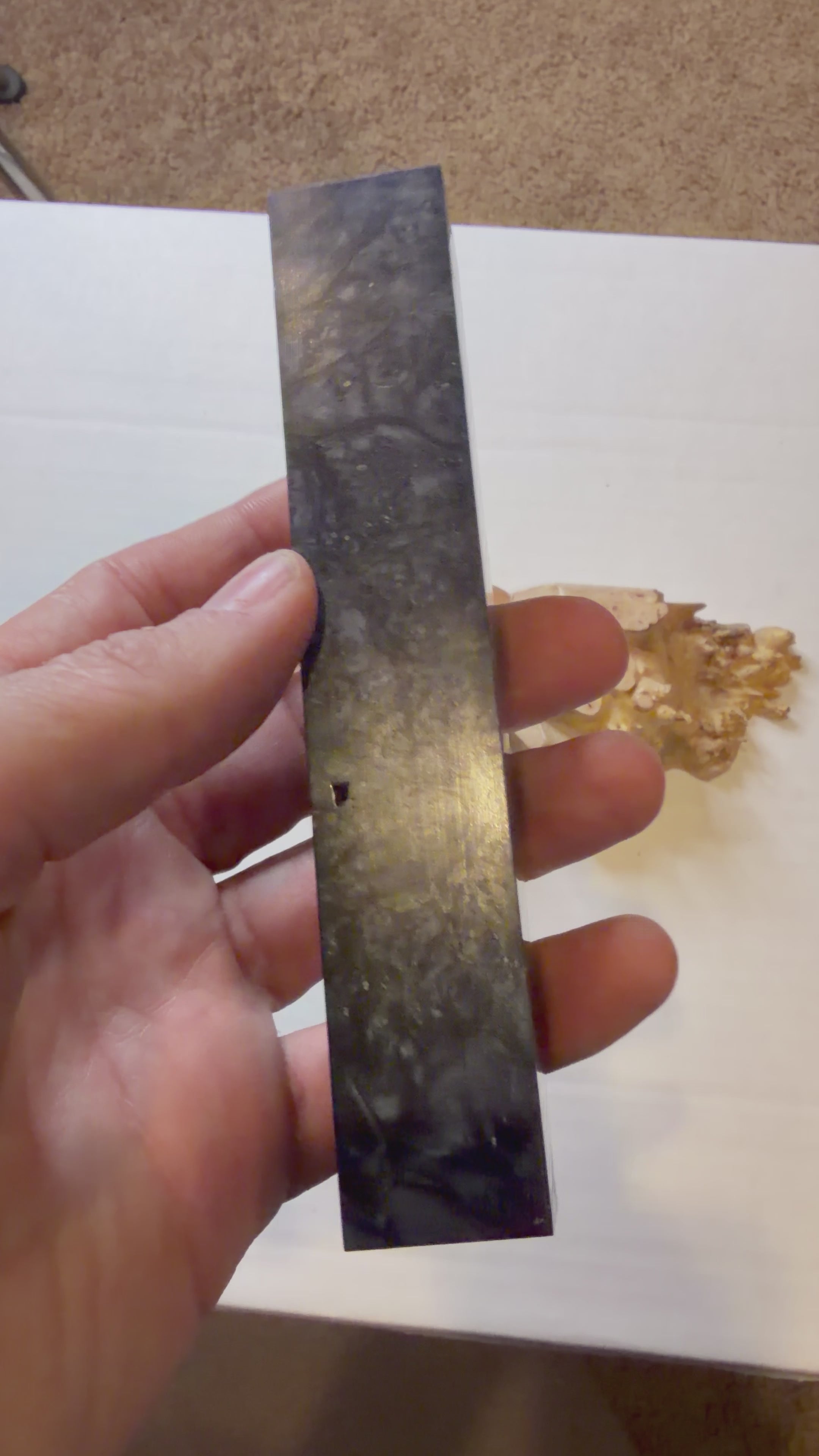 Boxelder Burl | #0203