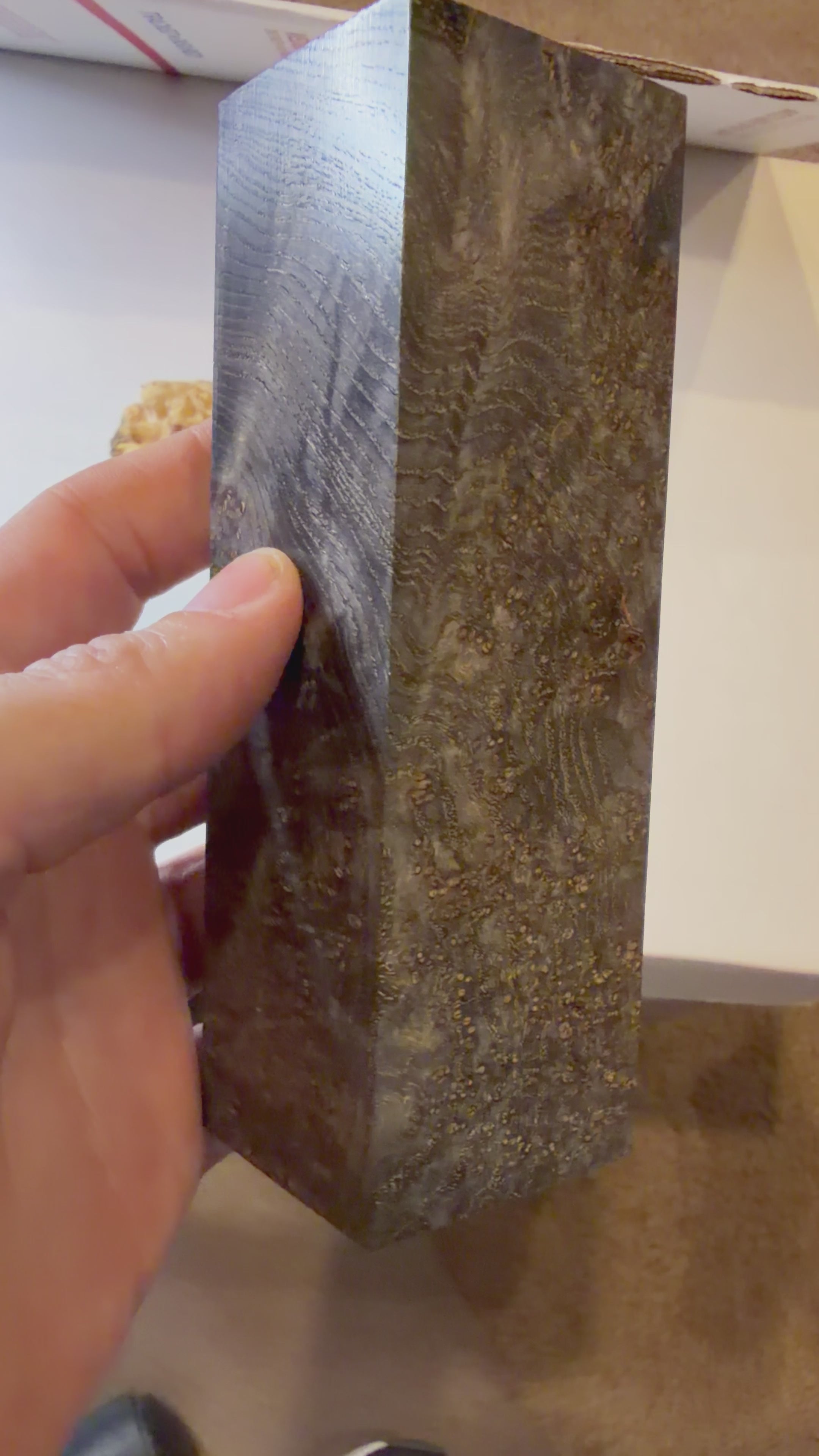Blackash Burl | #0297
