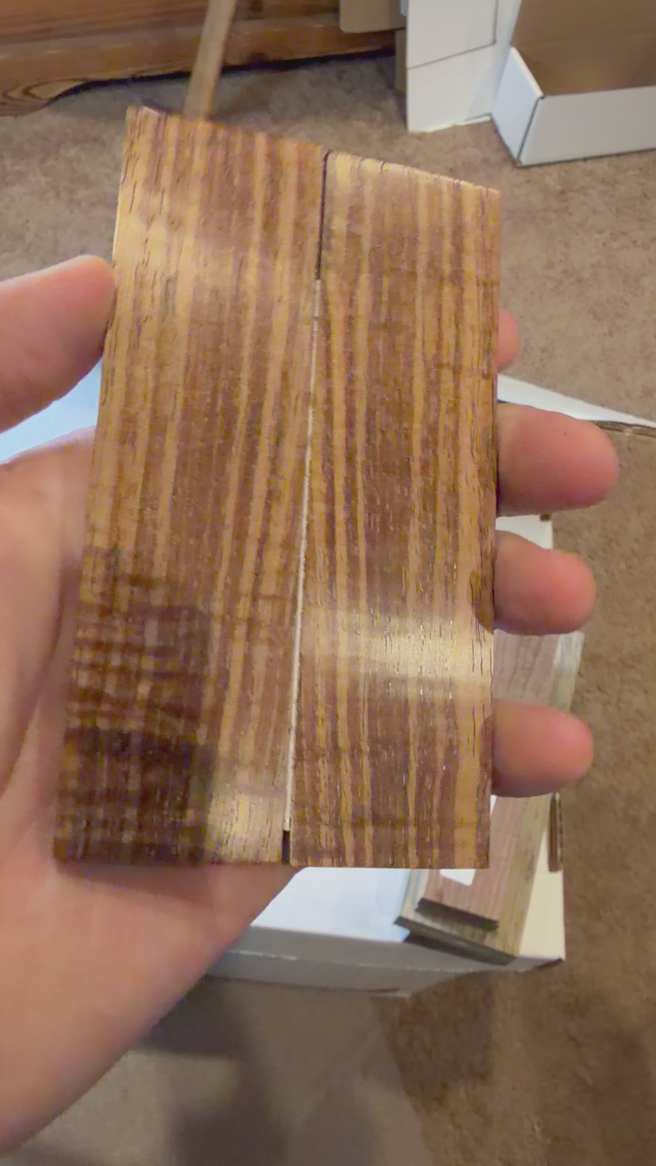 Tasmanian Blackwood | #0463